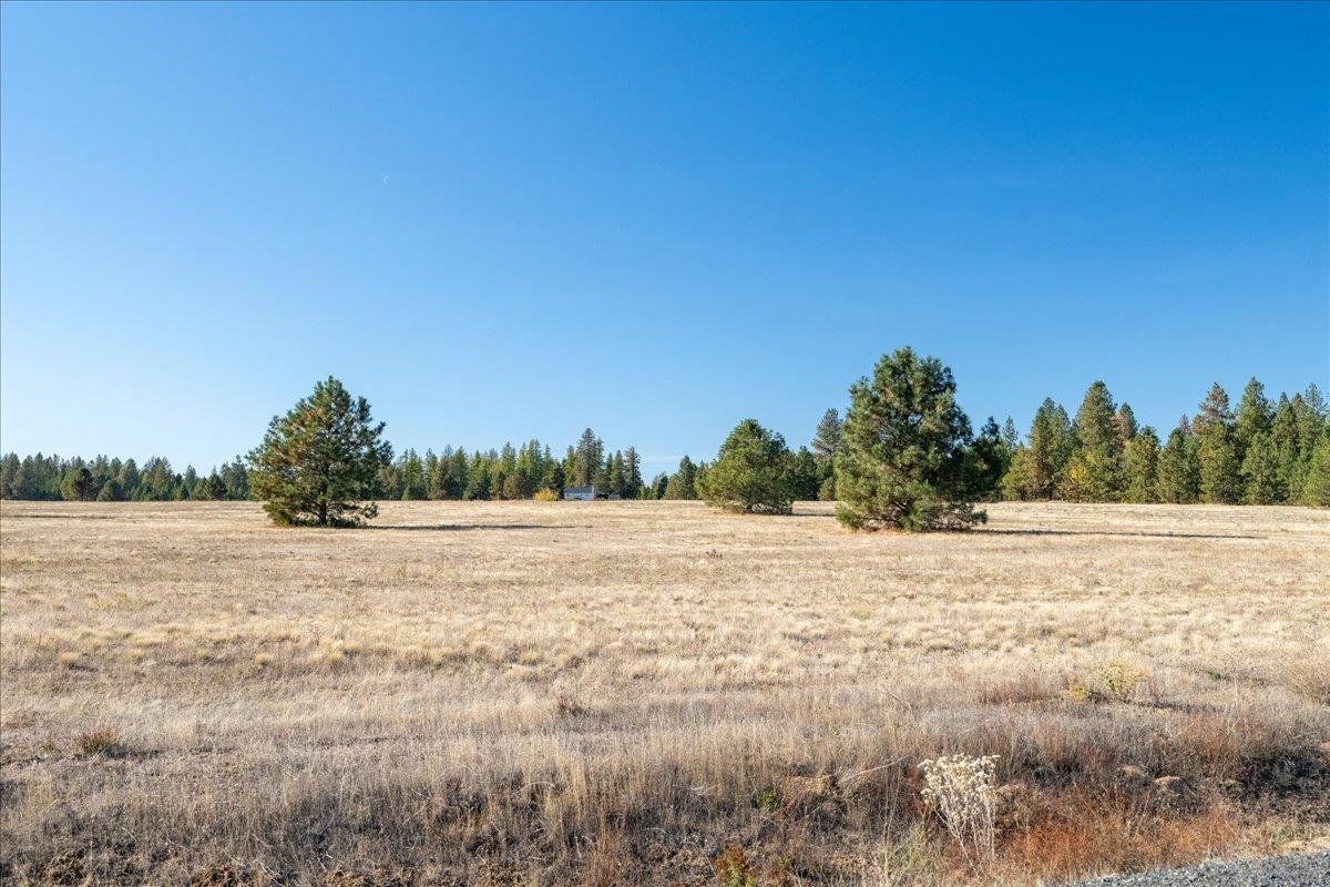 331XX N Charby Ln - Photo 13