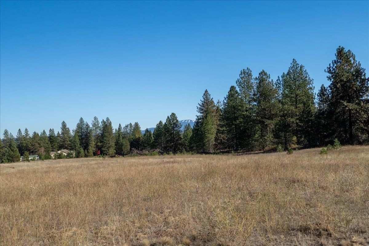 331XX N Charby Ln - Photo 14