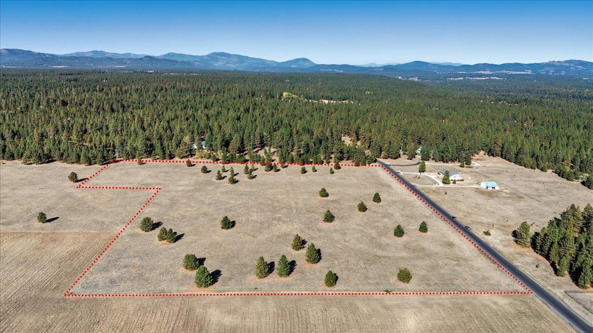 331XX N Charby Ln - Photo 3
