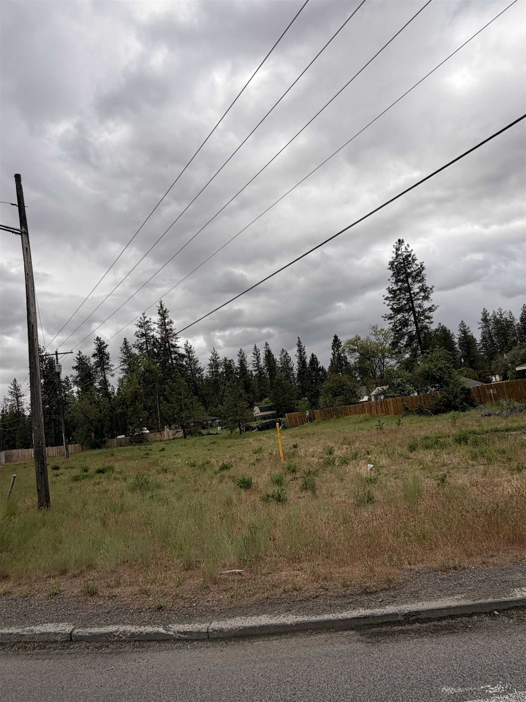 TBD N N Seven Mile Rd Rd - Photo 4