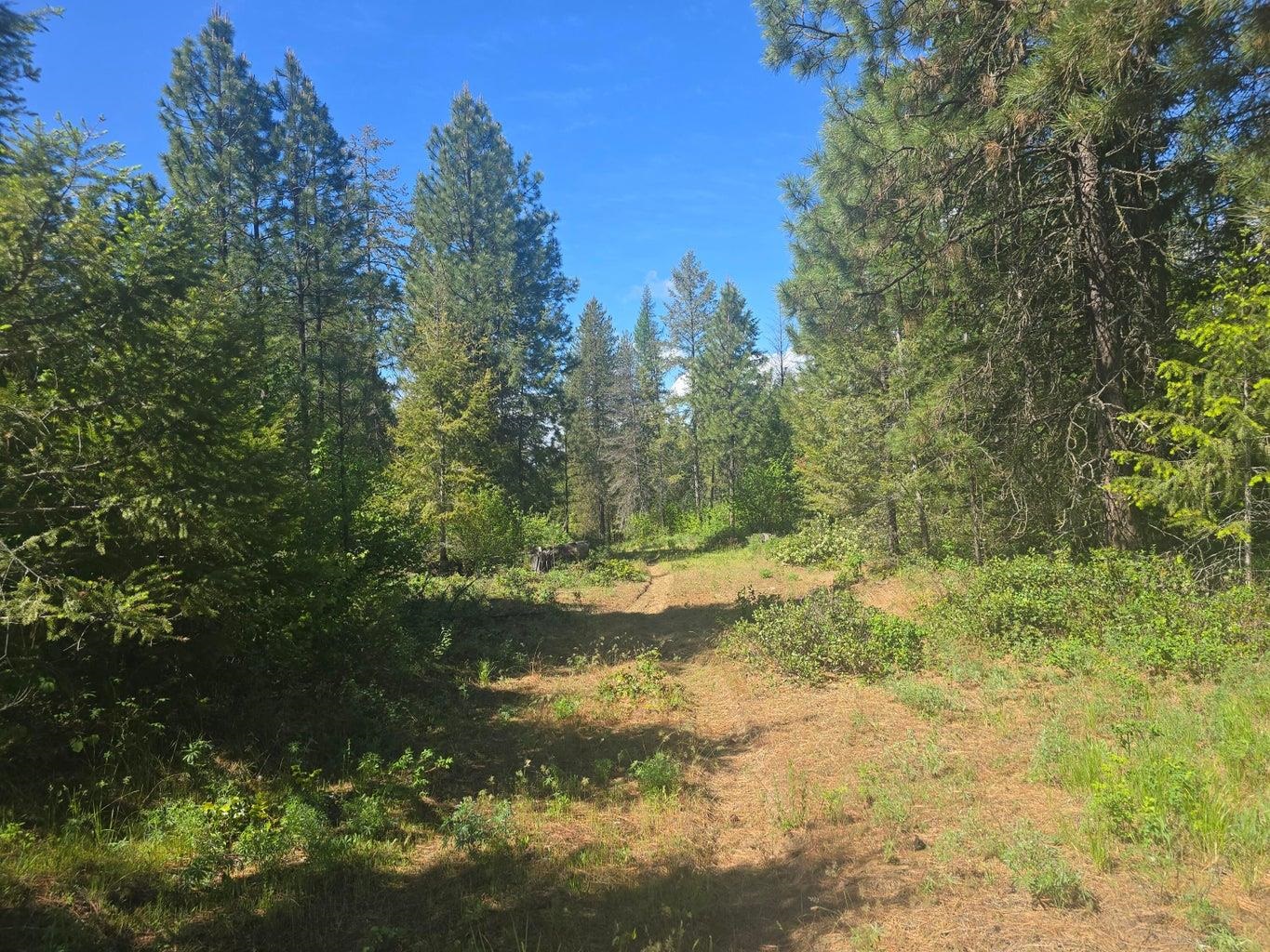 36XX Northport Flat Creek Rd - Photo 3