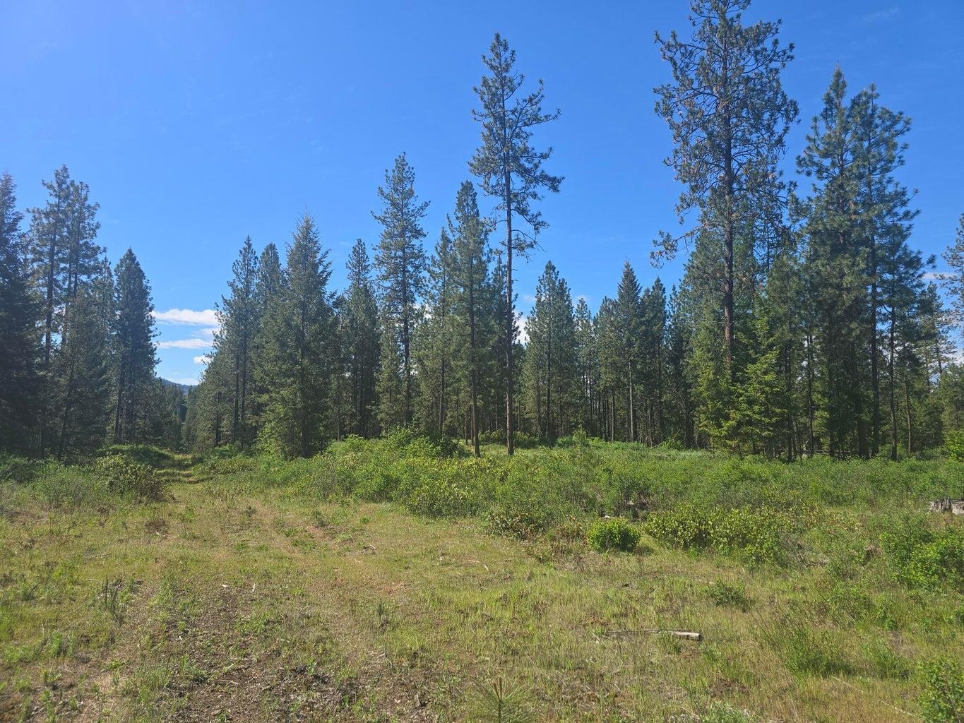 36XX Northport Flat Creek Rd - Photo 4