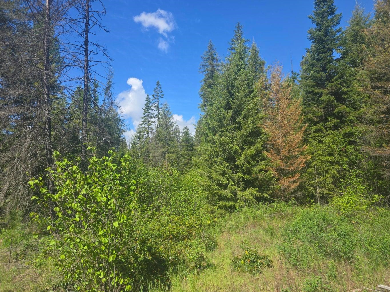36XX Northport Flat Creek Rd - Photo 9