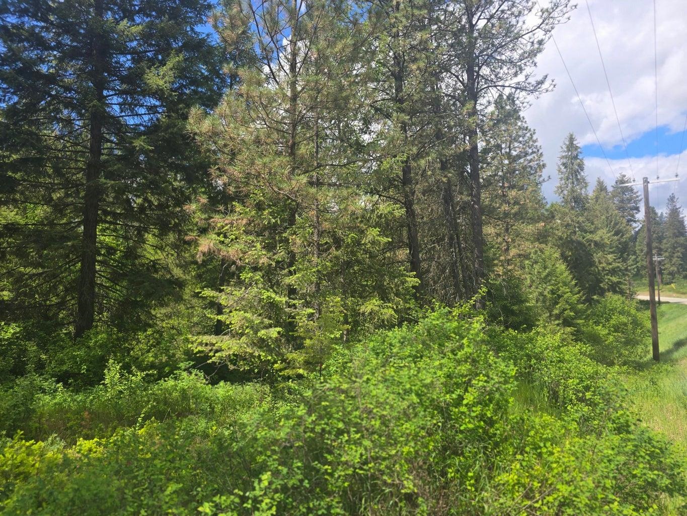 36XX Northport Flat Creek Rd - Photo 10