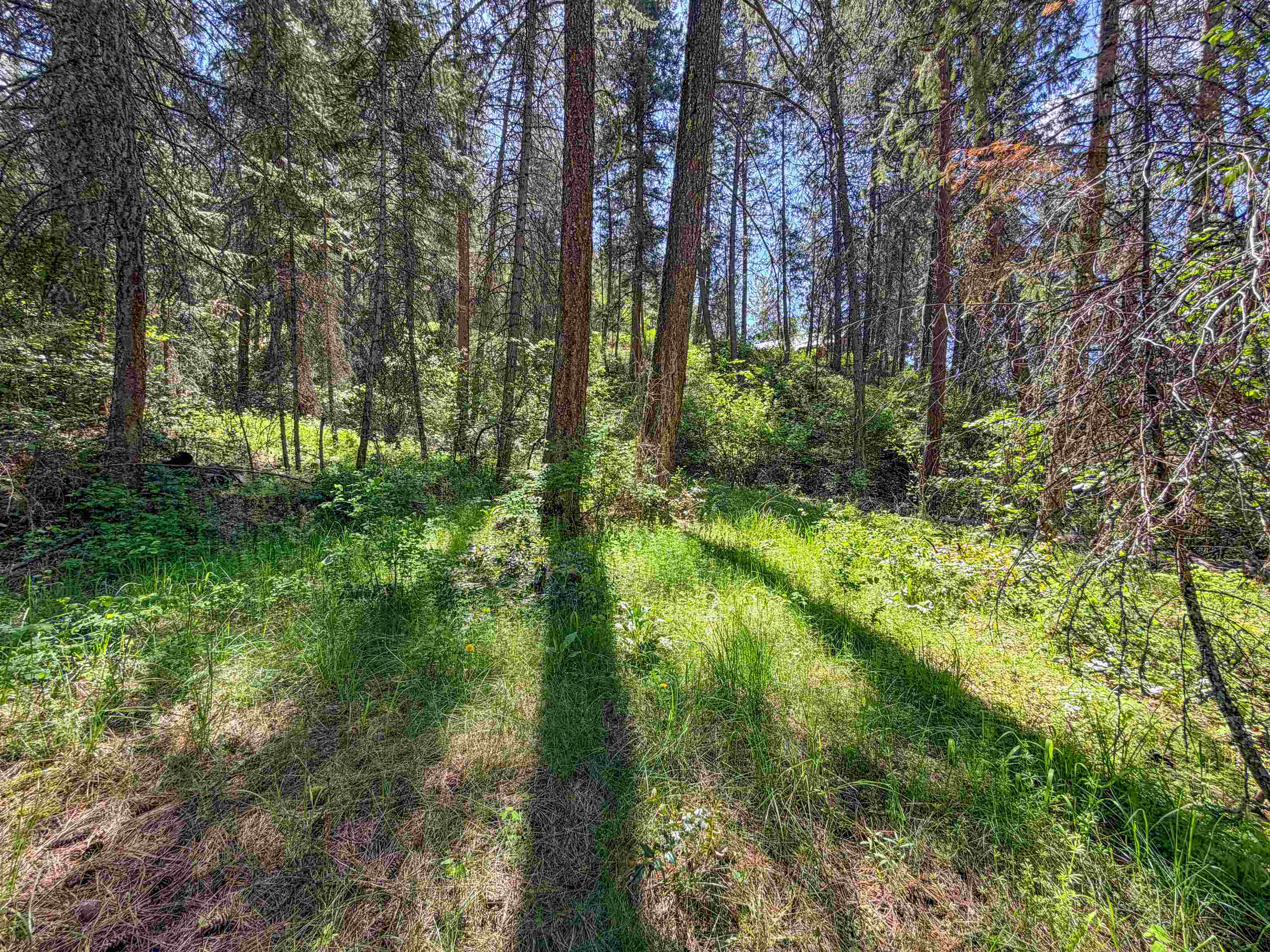1879 S 25 Hwy - Photo 12