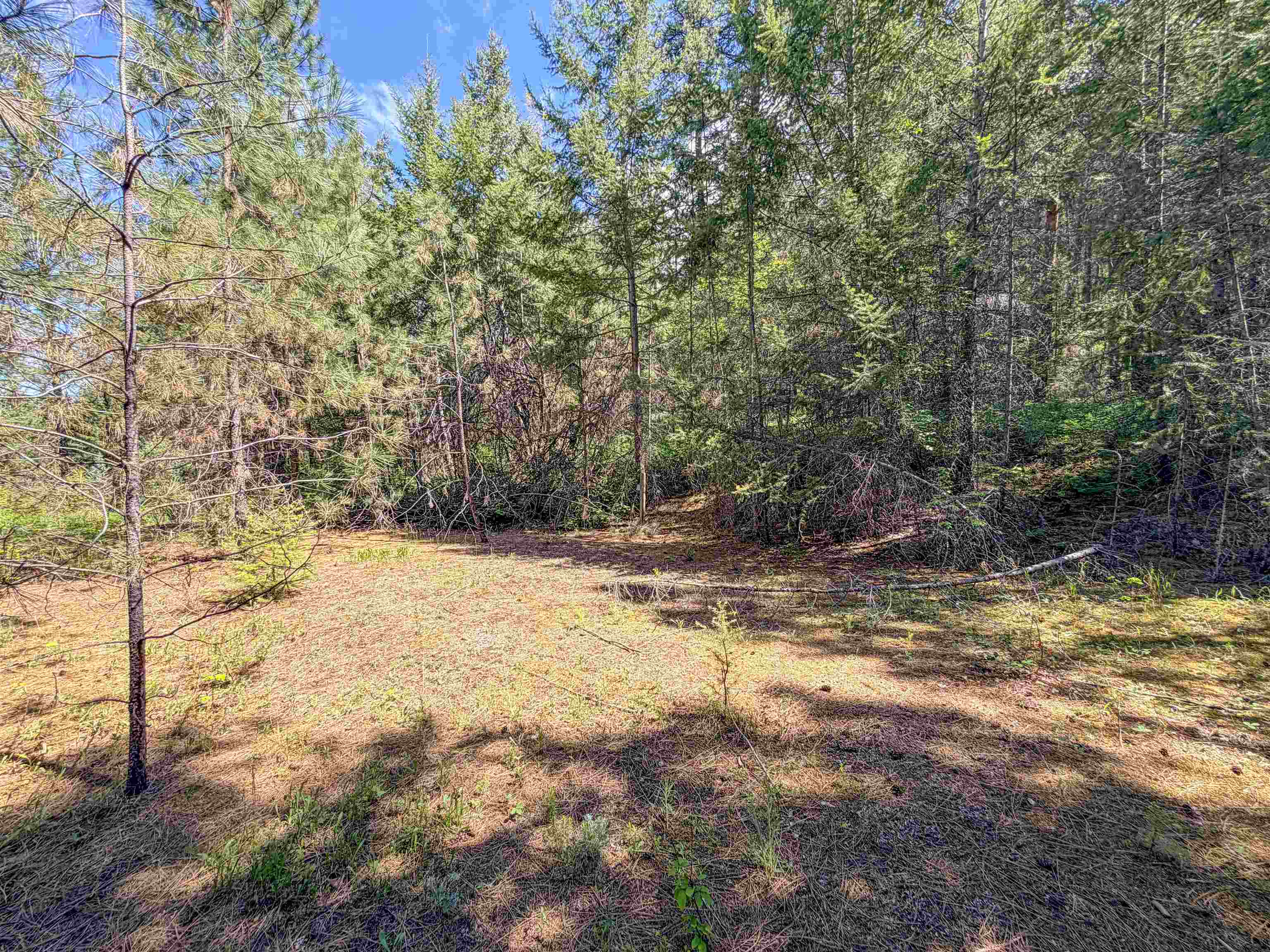 1879 S 25 Hwy - Photo 13