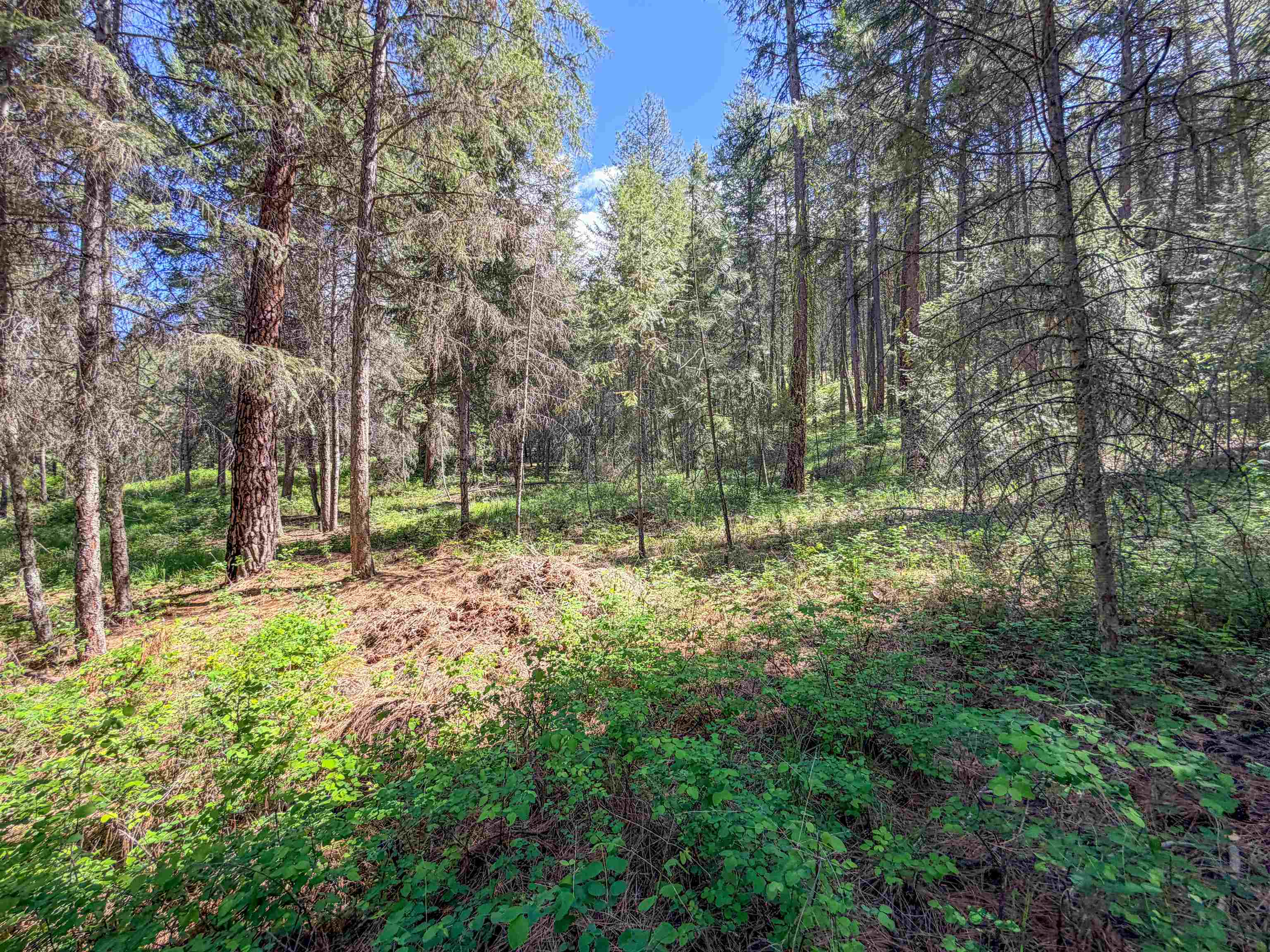 1879 S 25 Hwy - Photo 18