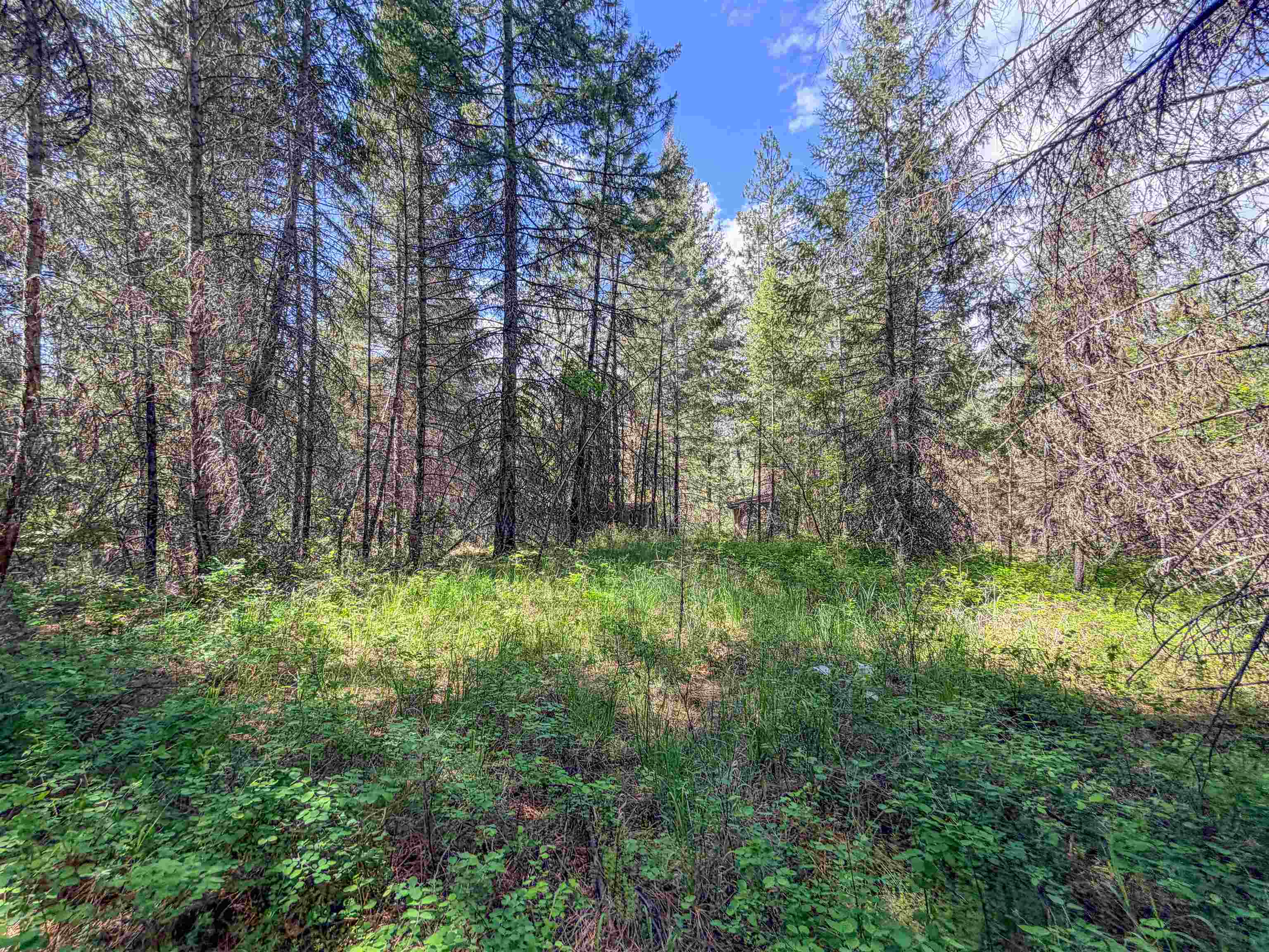 1879 S 25 Hwy - Photo 19