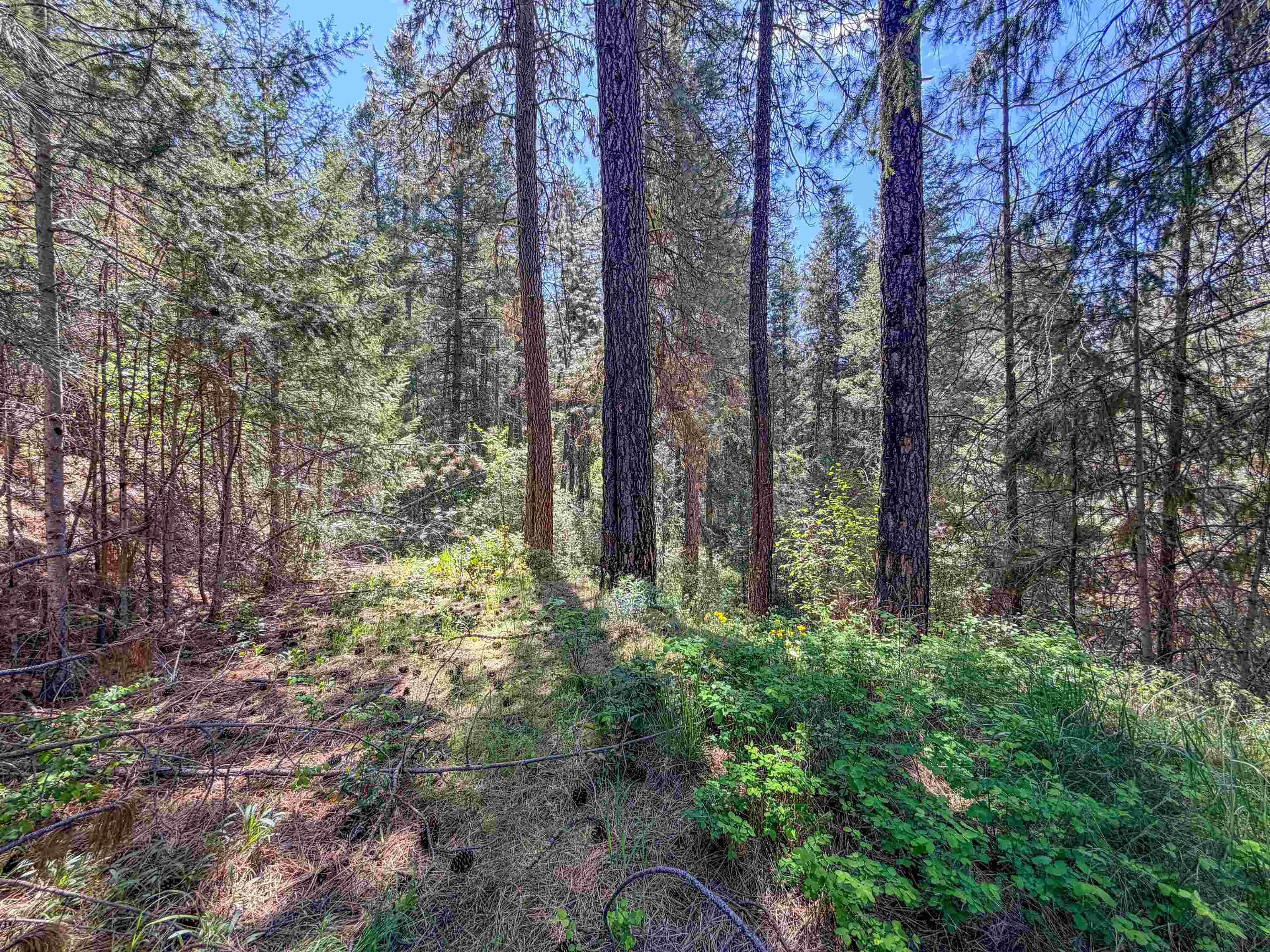 1879 S 25 Hwy - Photo 21