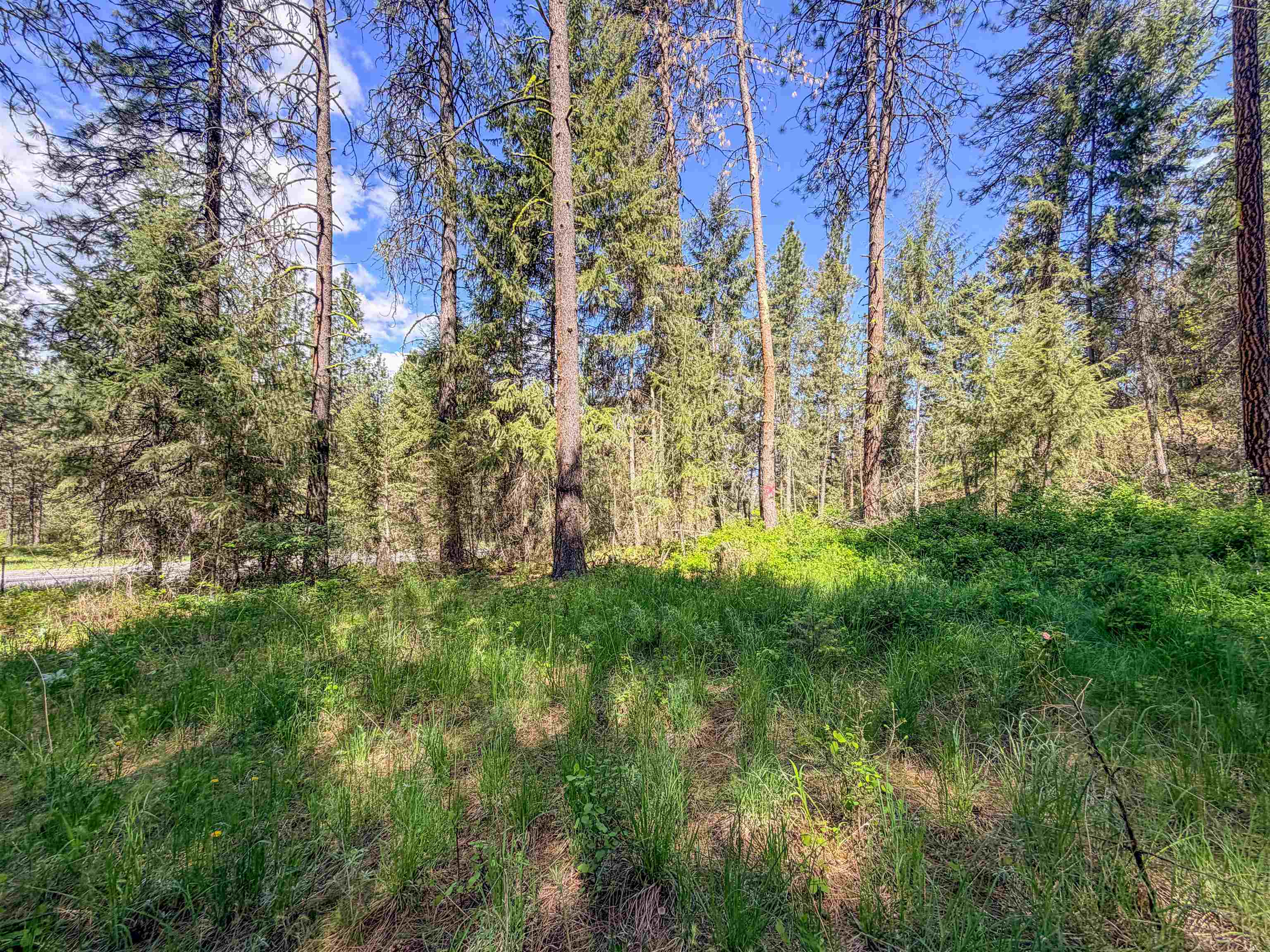 1879 S 25 Hwy - Photo 22