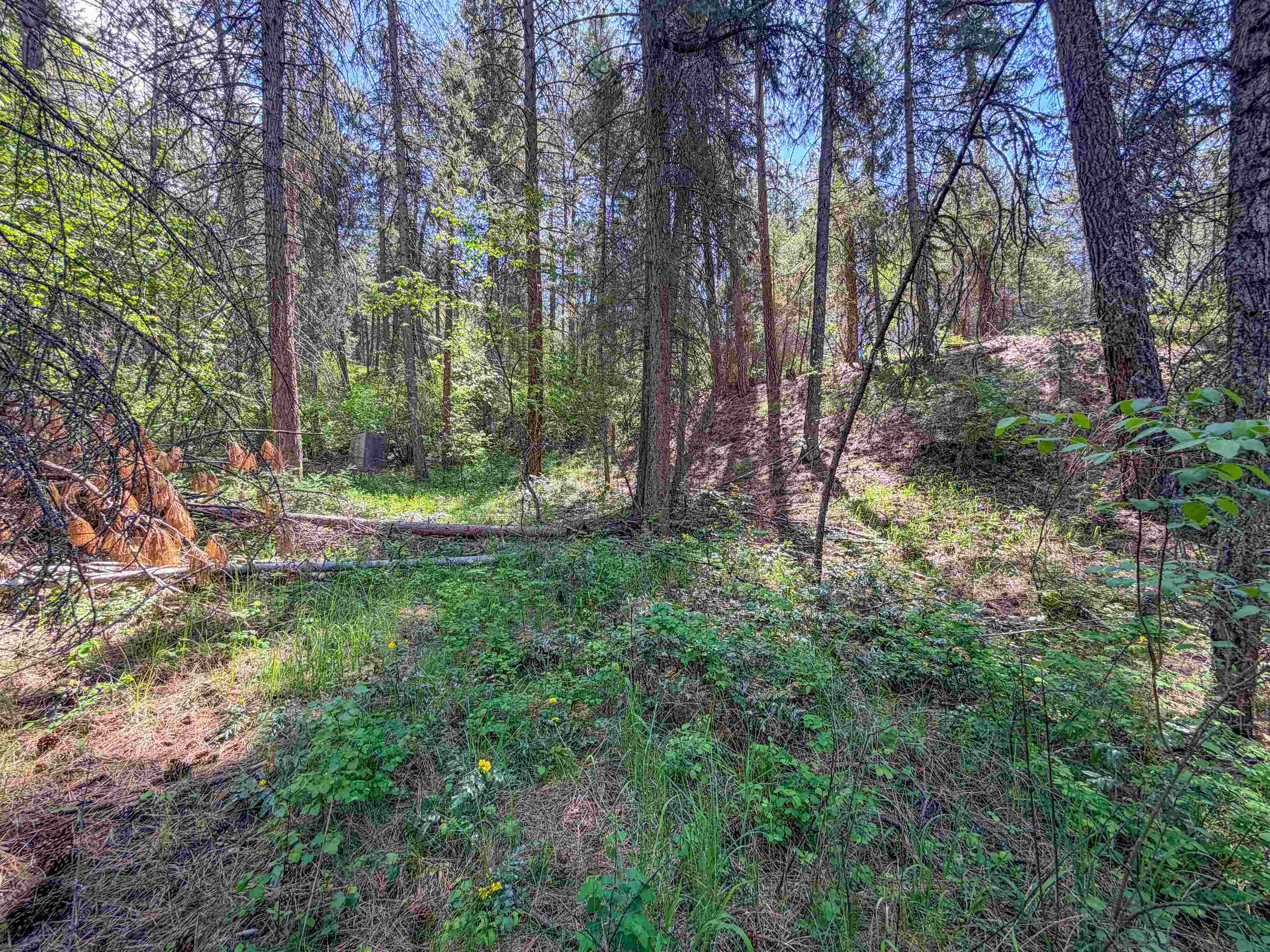 1879 S 25 Hwy - Photo 23