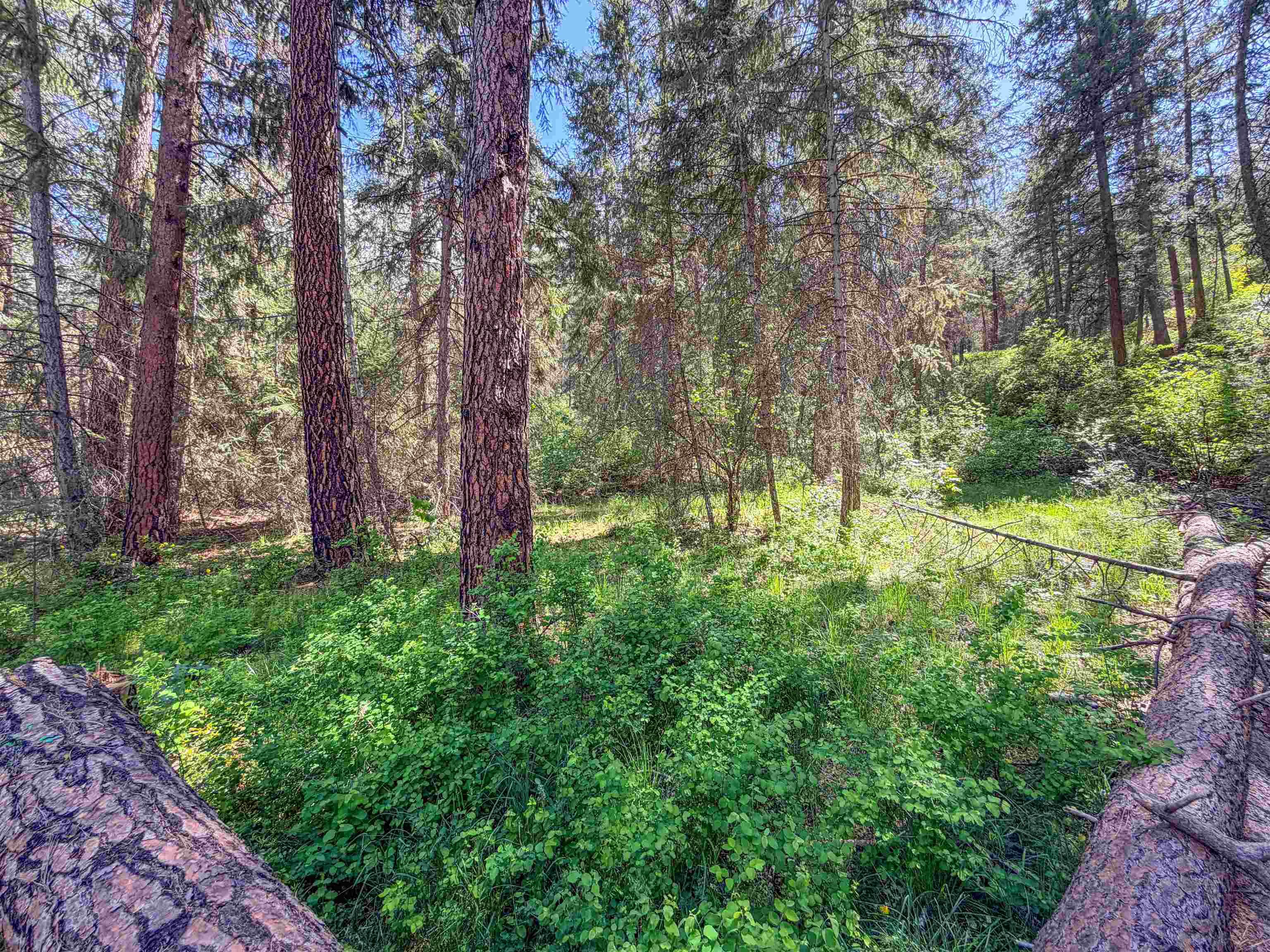 1879 S 25 Hwy - Photo 8
