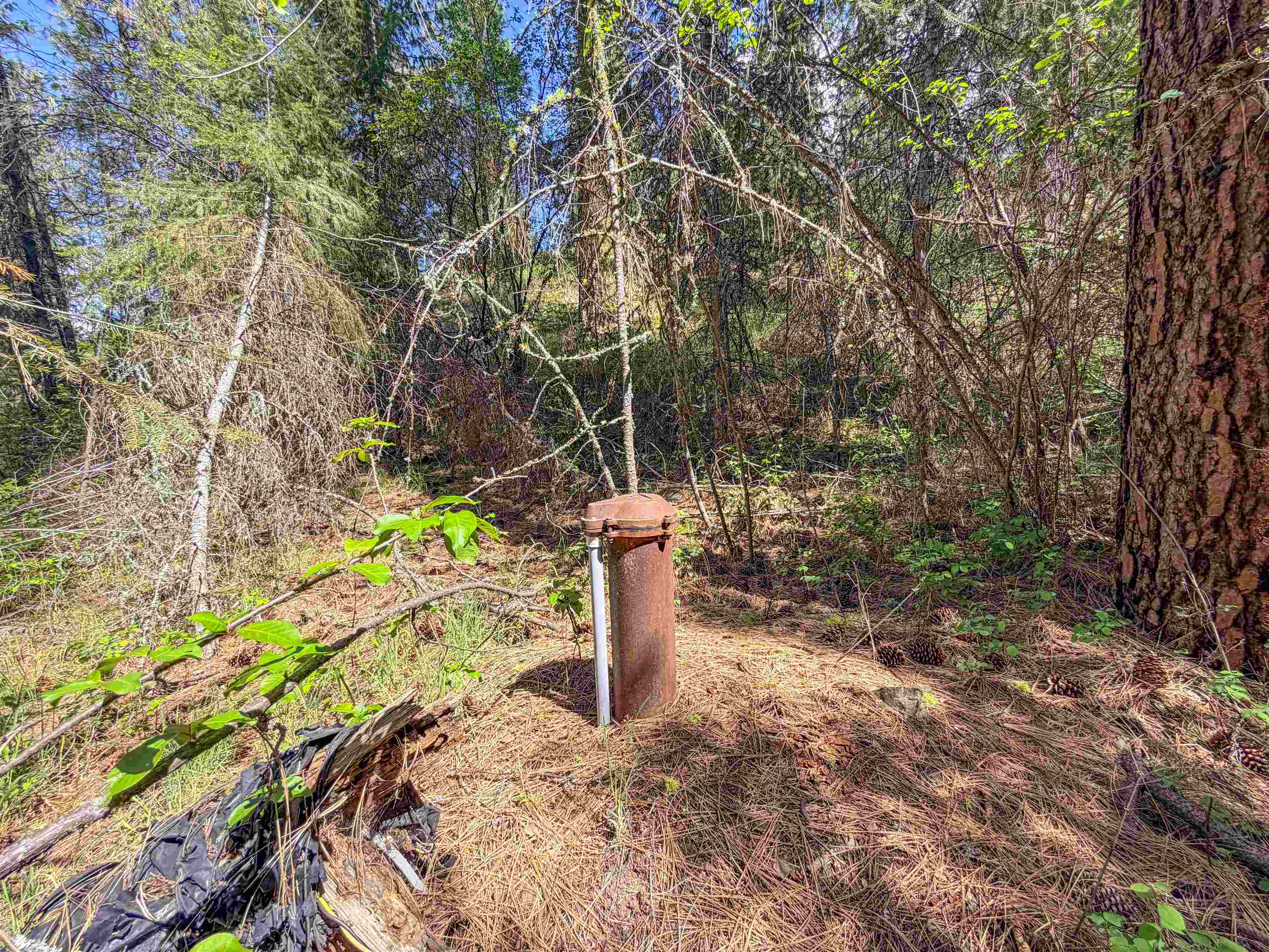 1879 S 25 Hwy - Photo 9