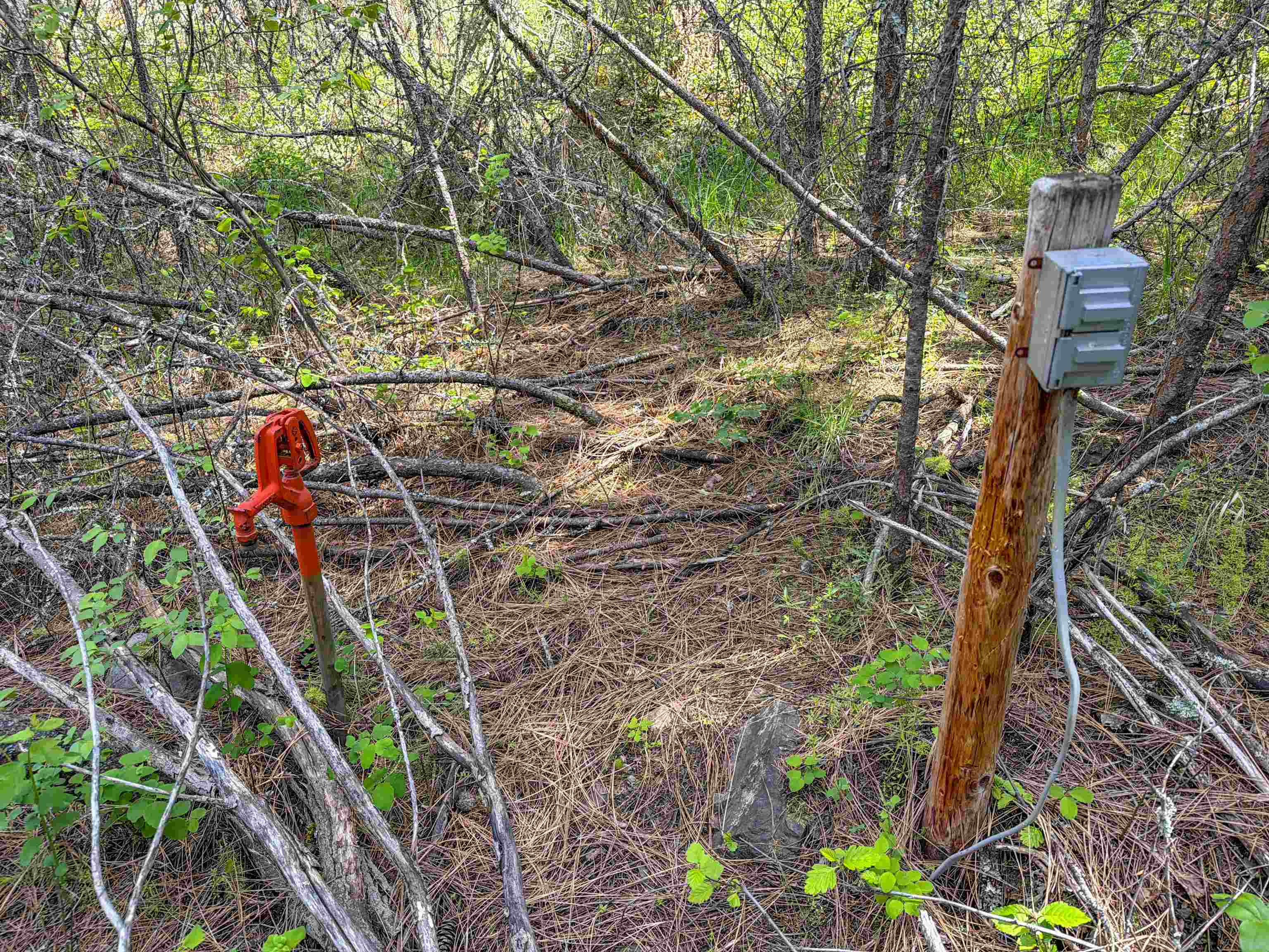 1879 S 25 Hwy - Photo 10