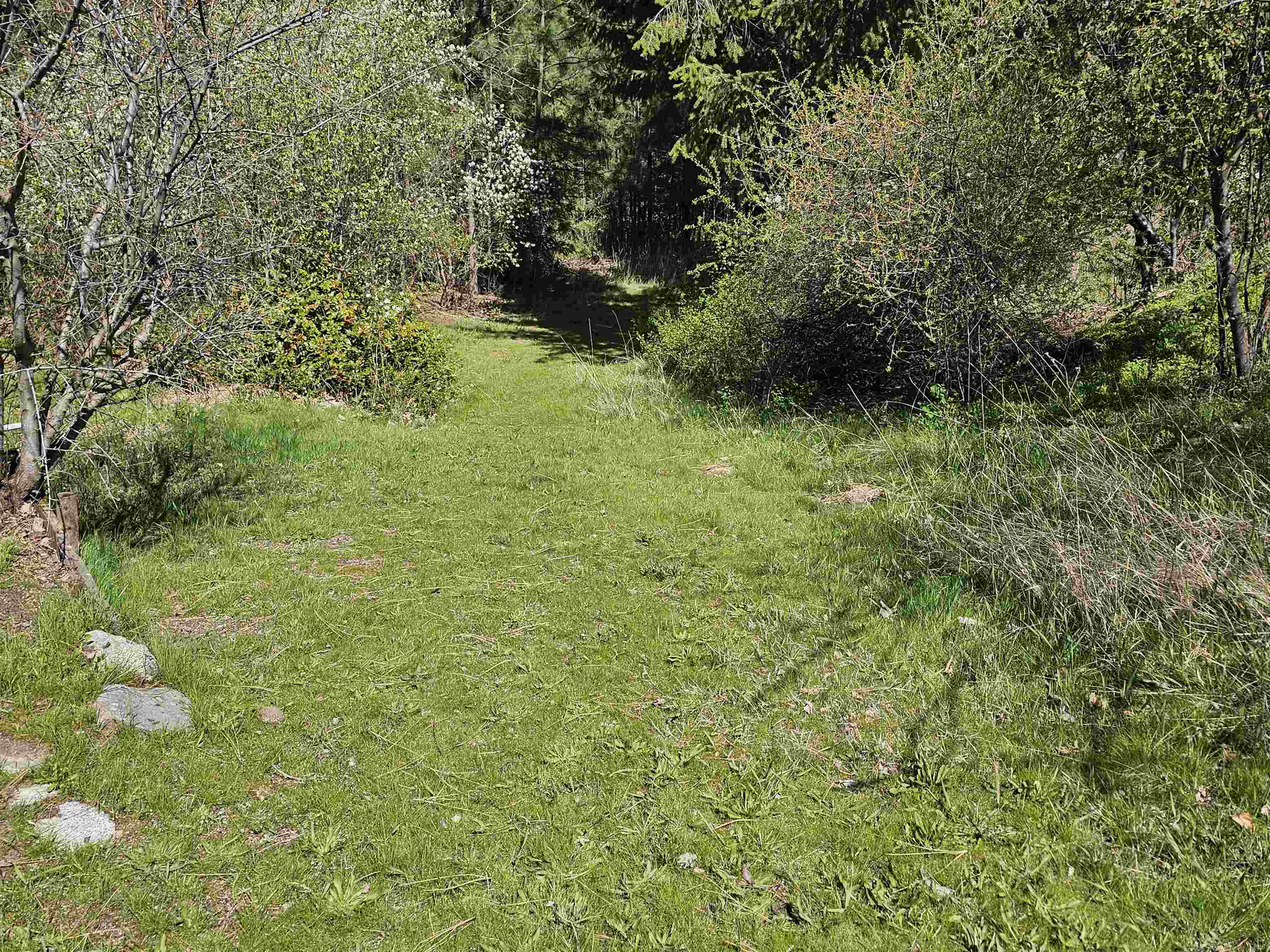 1001 S Haven St - Photo 3
