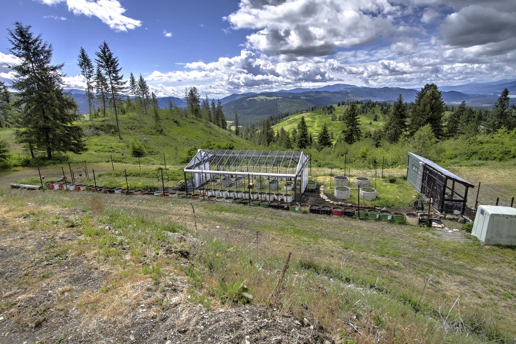 1631 Bonanza Hill Rd Rd - Photo 11
