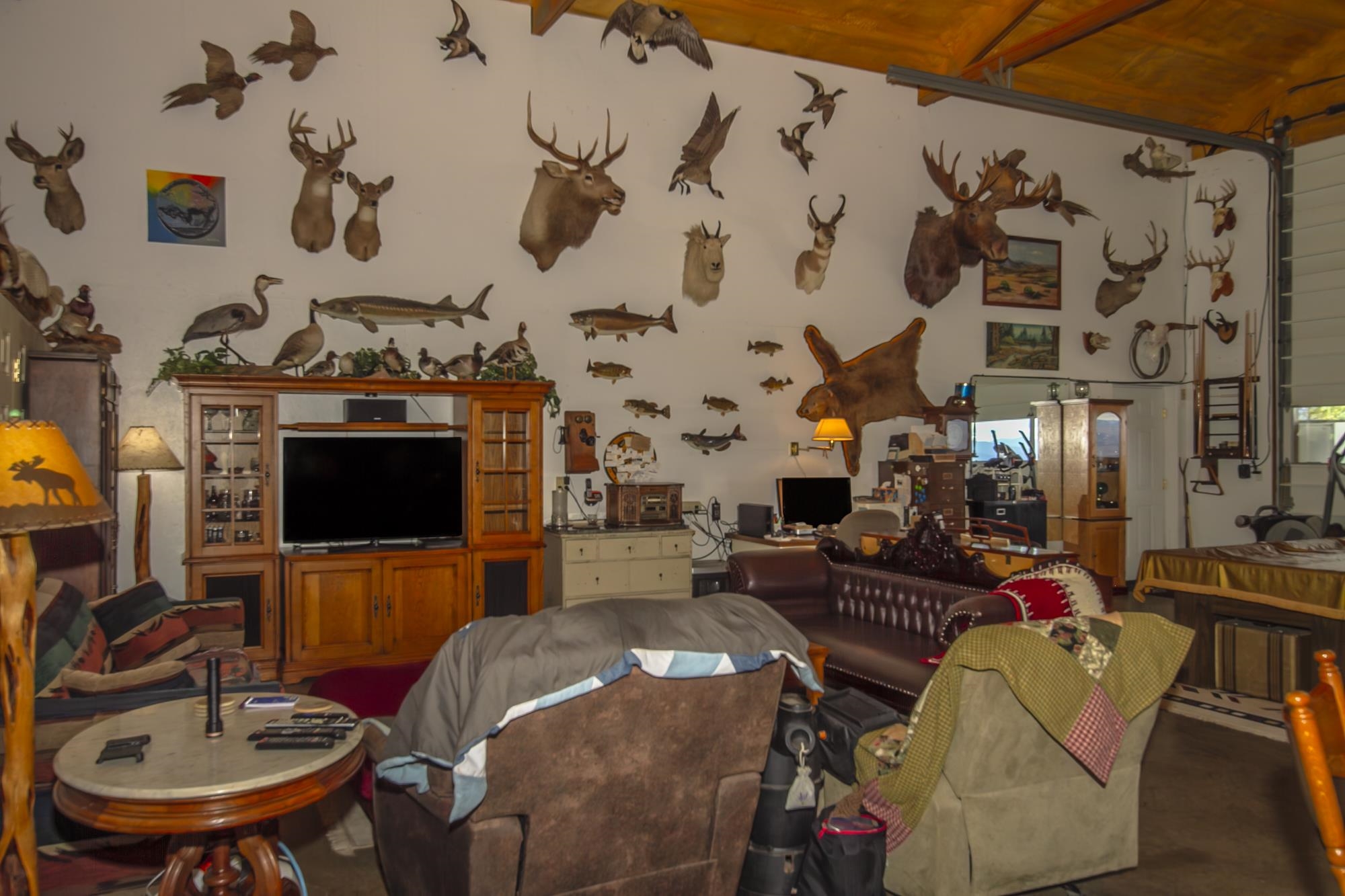 1631 Bonanza Hill Rd Rd - Photo 21