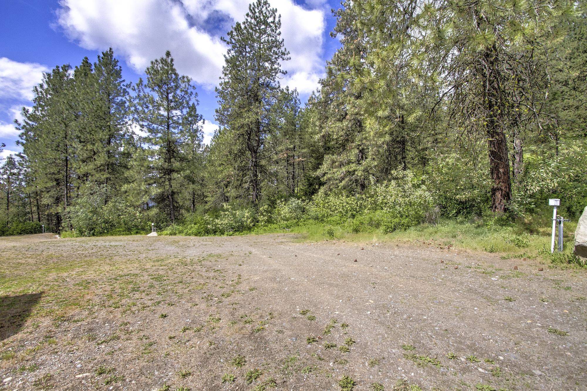 1631 Bonanza Hill Rd Rd - Photo 40
