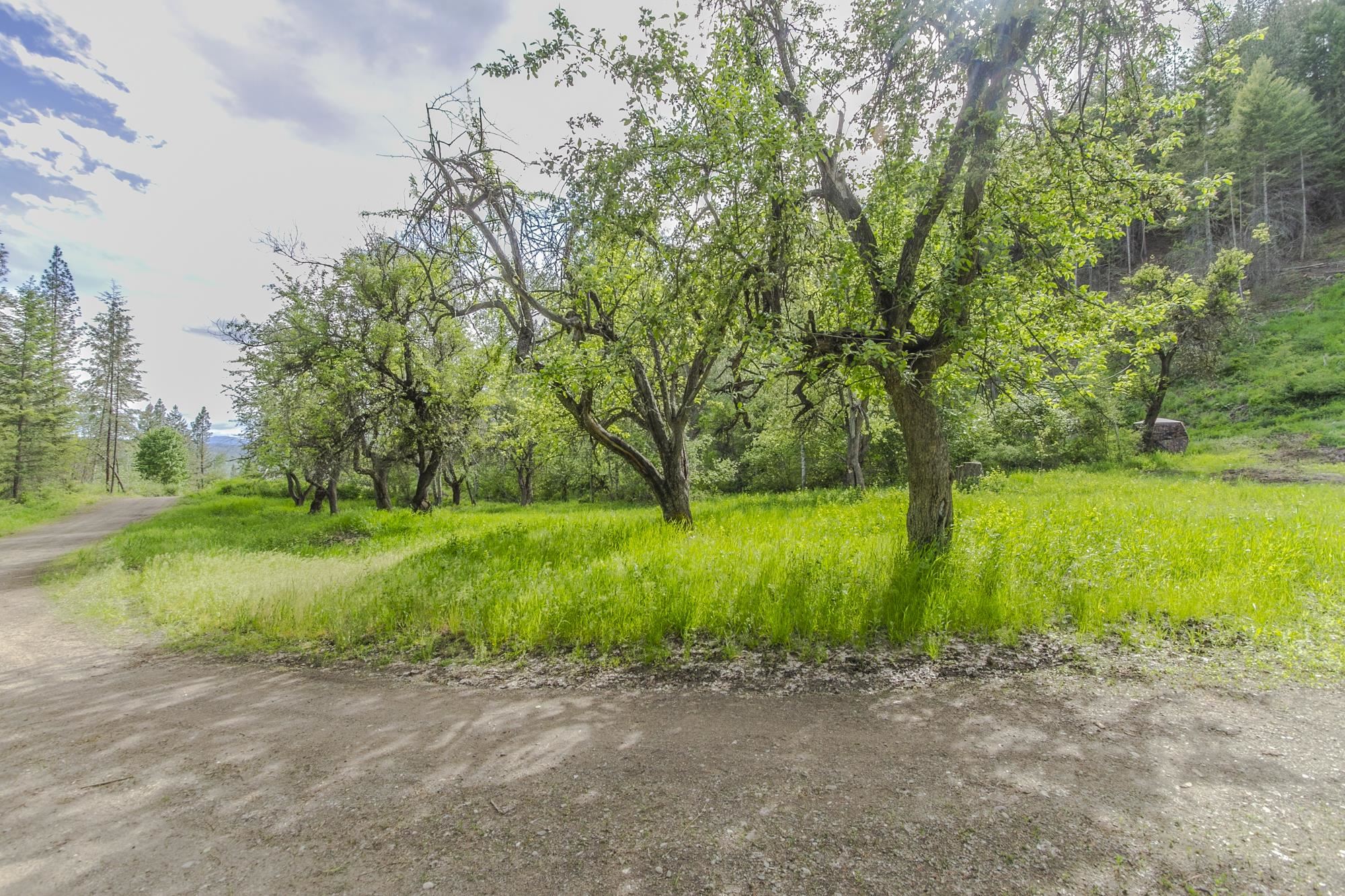 1631 Bonanza Hill Rd Rd - Photo 41