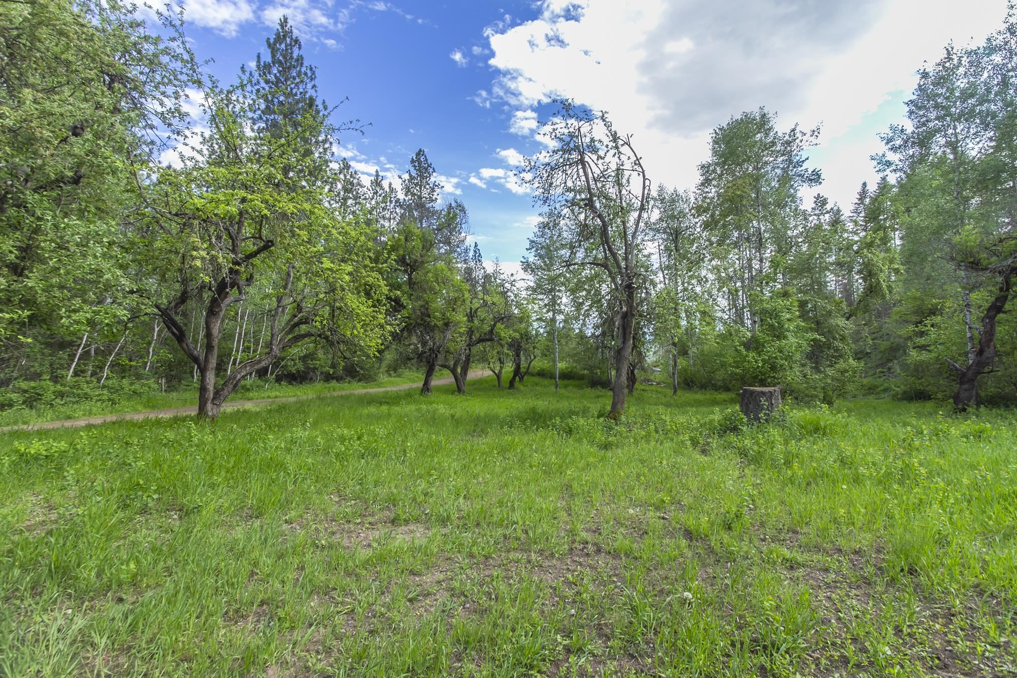 1631 Bonanza Hill Rd Rd - Photo 42