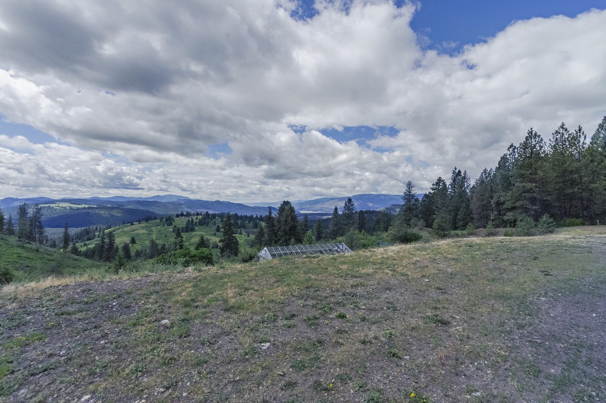 1631 Bonanza Hill Rd Rd - Photo 44