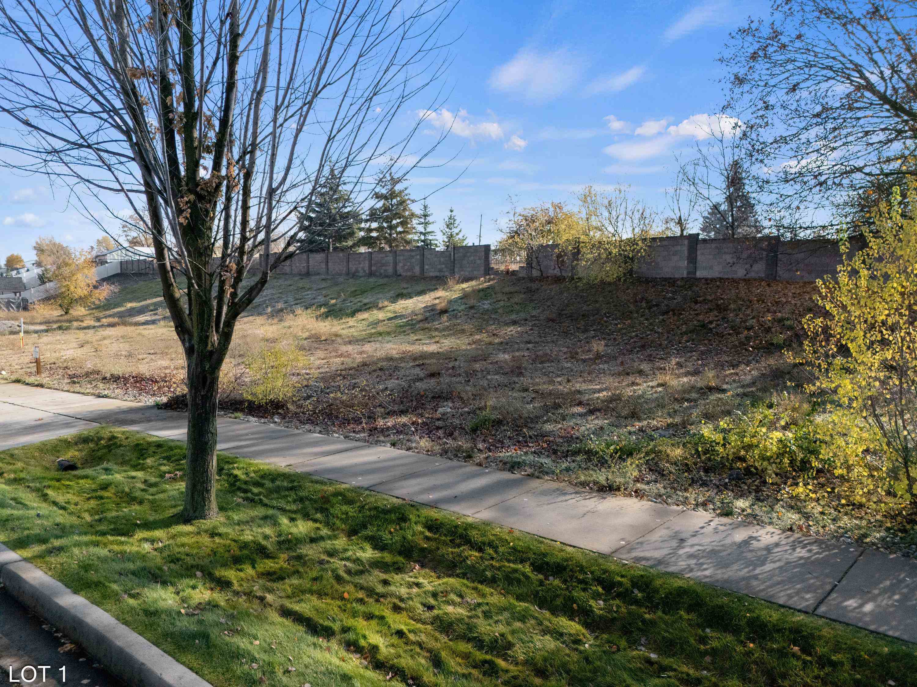 11422 E Coyote Rock Dr - Photo 16