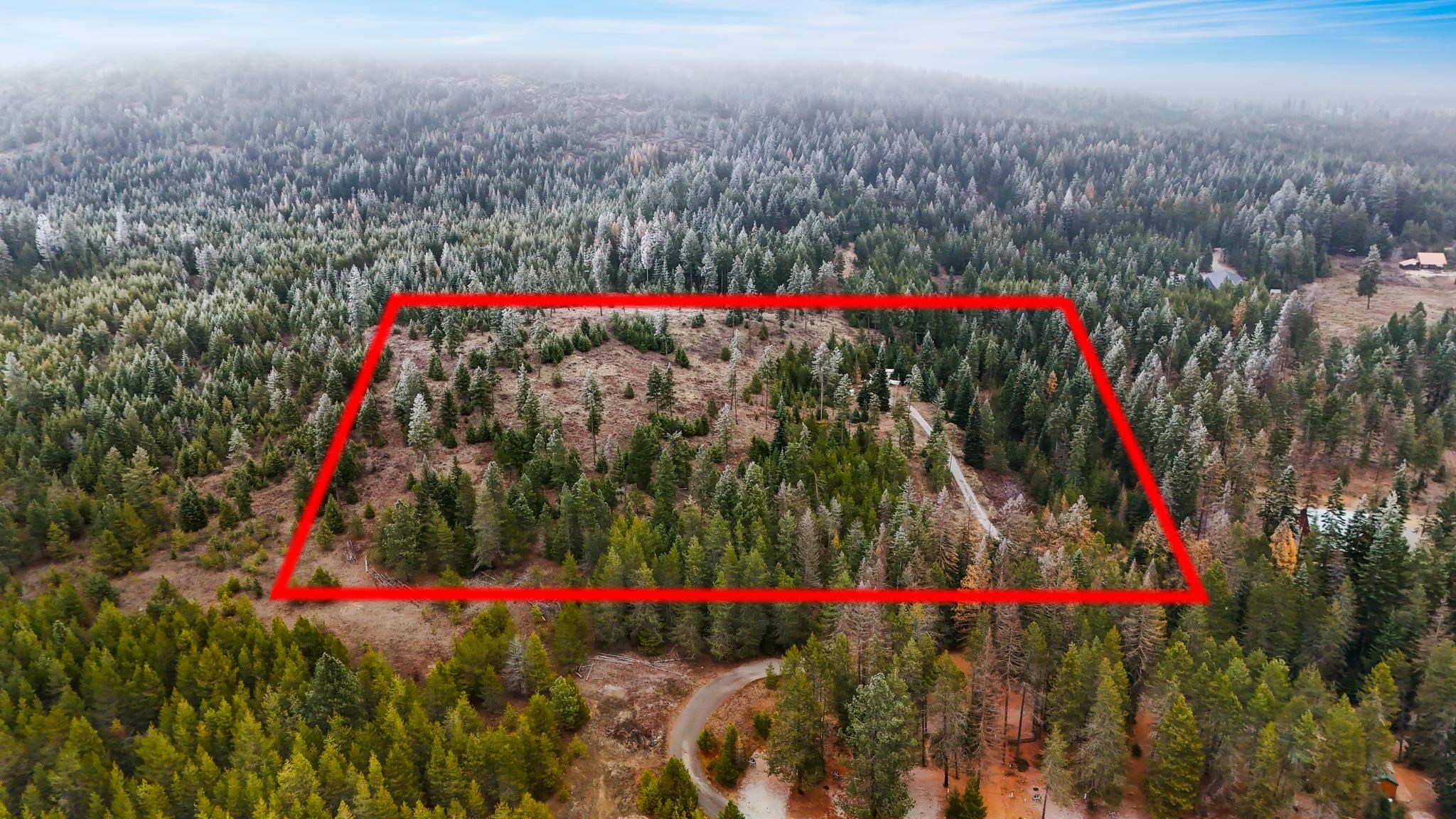 872 McGowen Rd - Photo 3