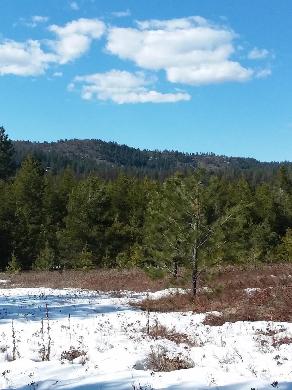 872 McGowen Rd - Photo 21
