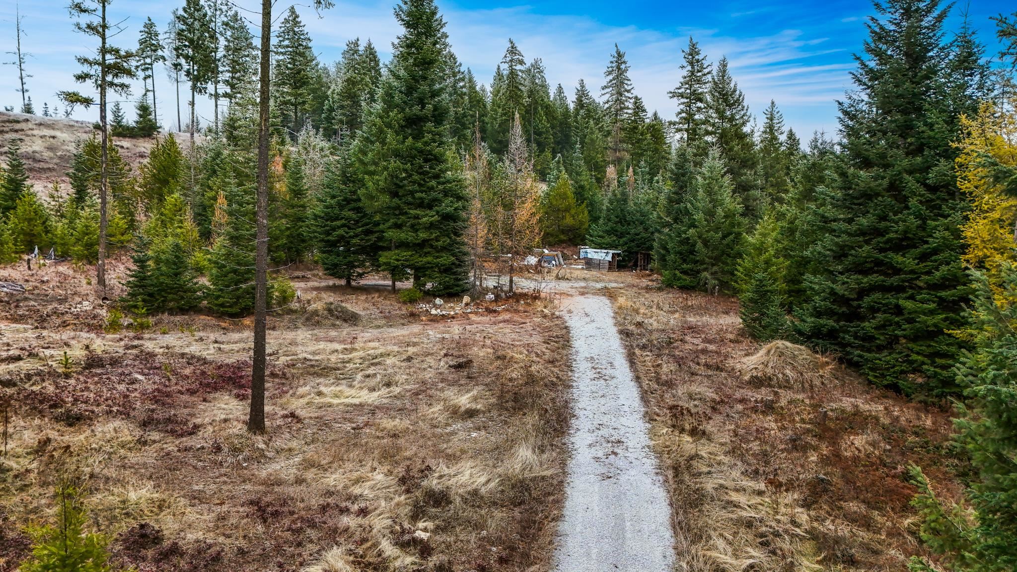 872 McGowen Rd - Photo 6