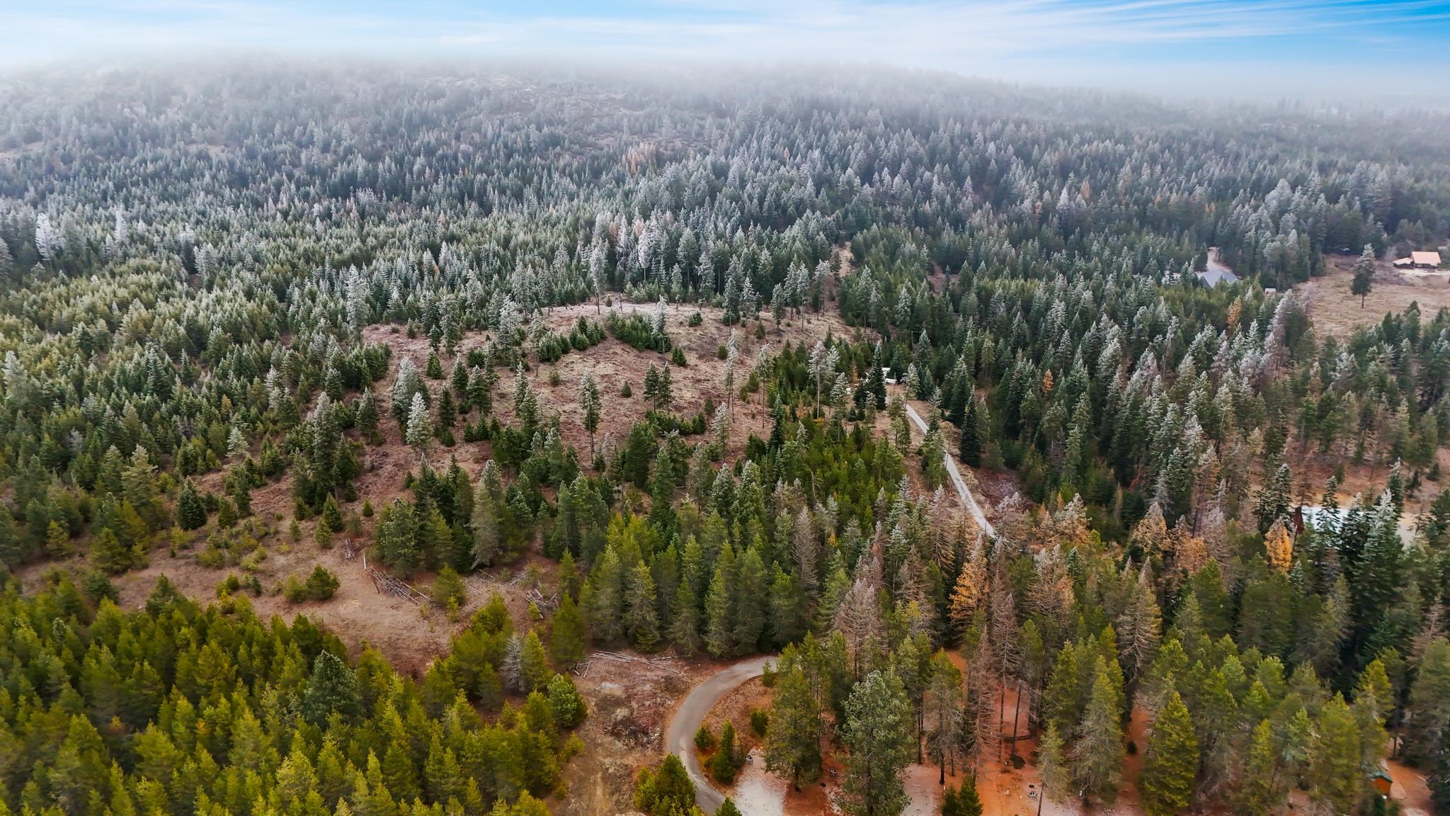872 McGowen Rd - Photo 8