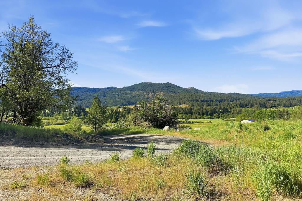 1763 K Hwy 395 - Photo 15