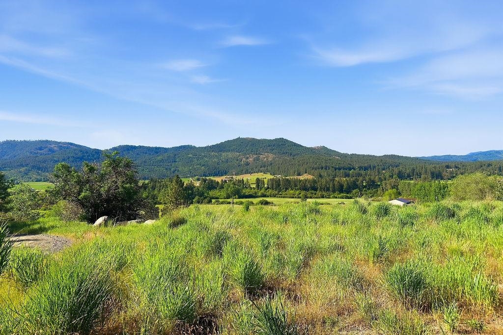 1763 K Hwy 395 - Photo 16
