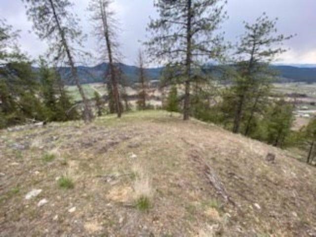 1763 K Hwy 395 - Photo 22