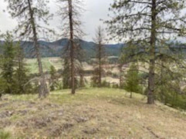 1763 K Hwy 395 - Photo 24