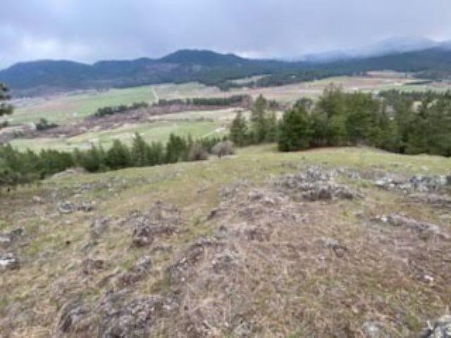 1763 K Hwy 395 - Photo 28