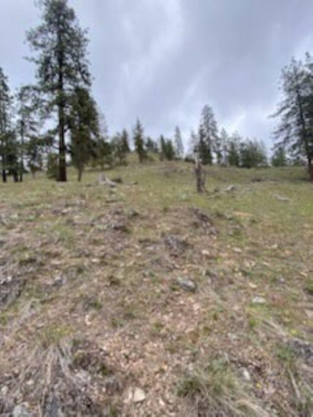 1763 K Hwy 395 - Photo 30
