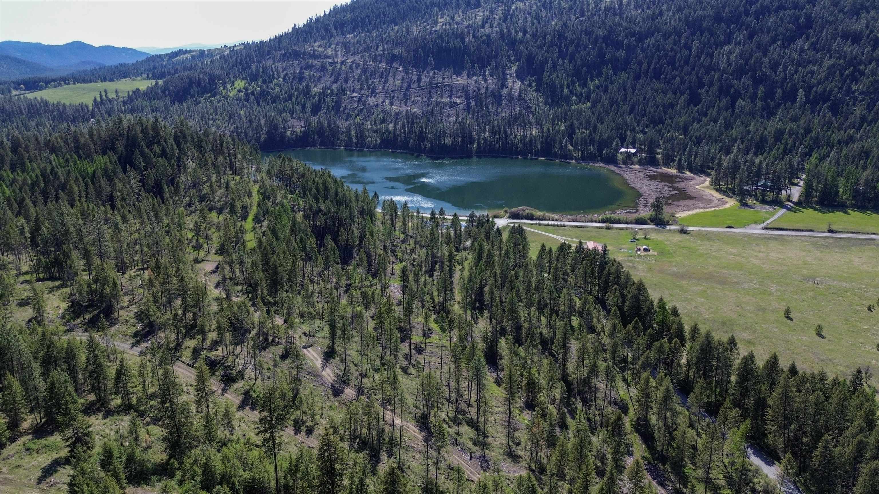 16-TBD Williams Lake Rd - Photo 1