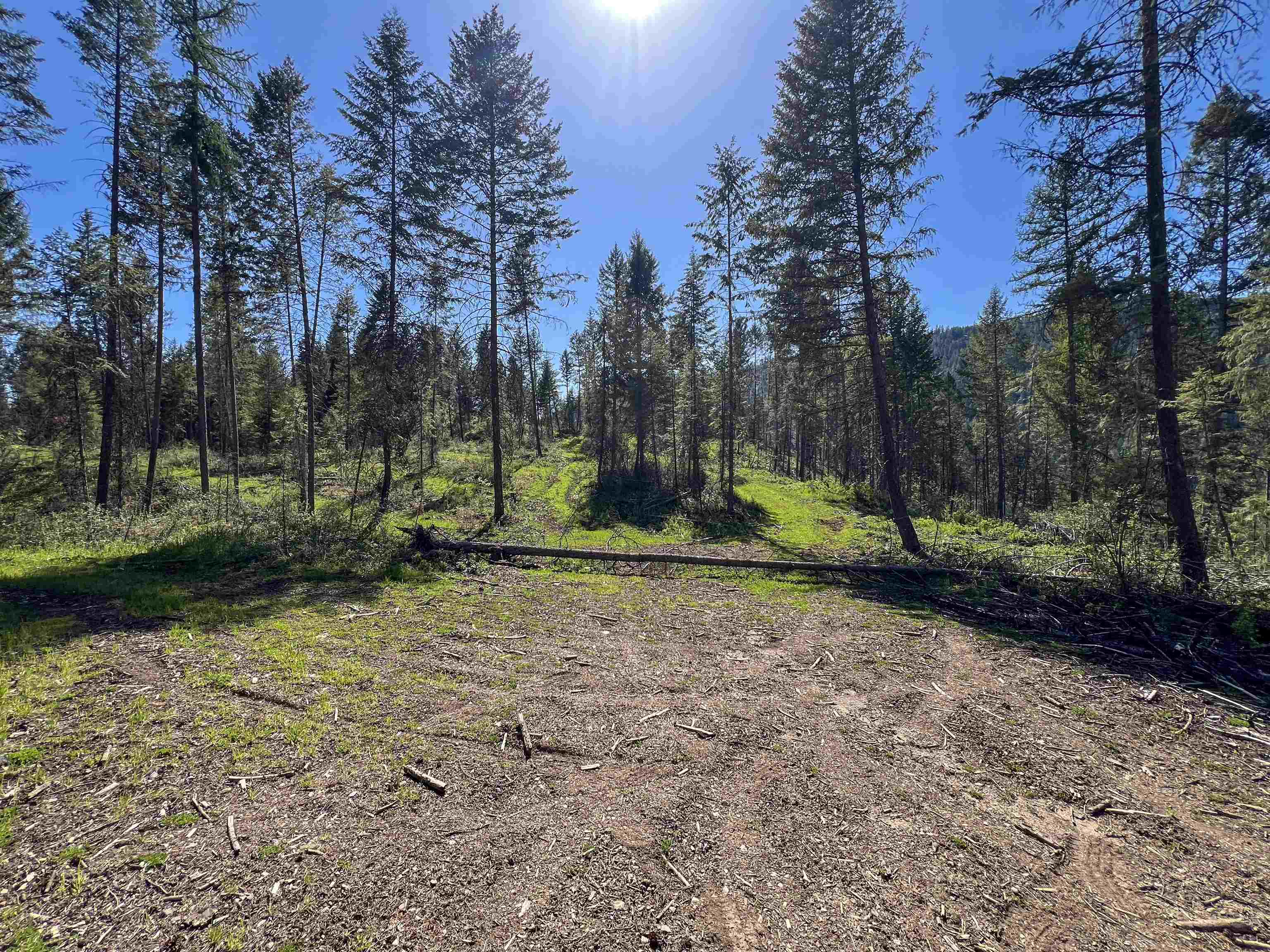 16-TBD Williams Lake Rd - Photo 12