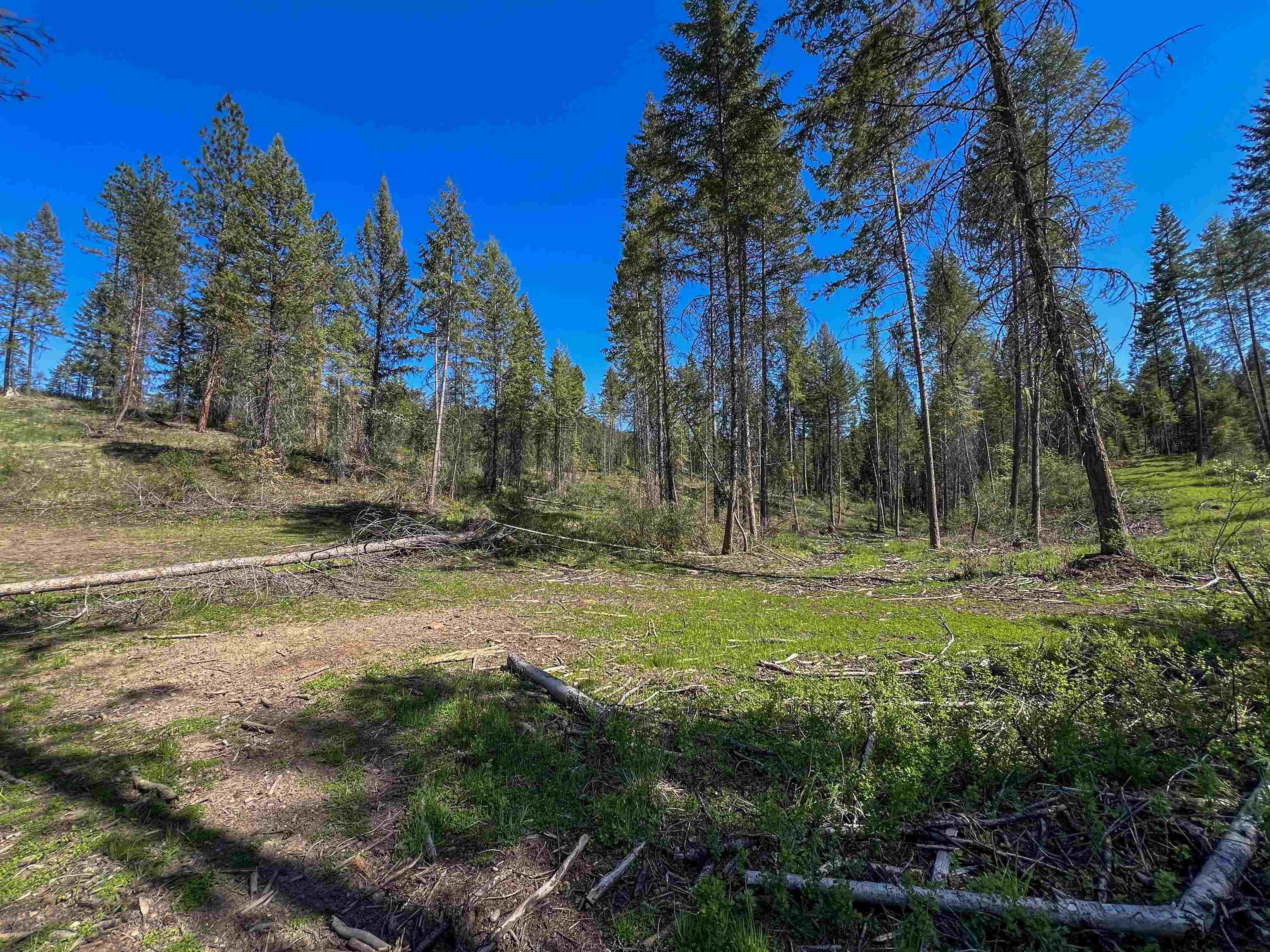 16-TBD Williams Lake Rd - Photo 13
