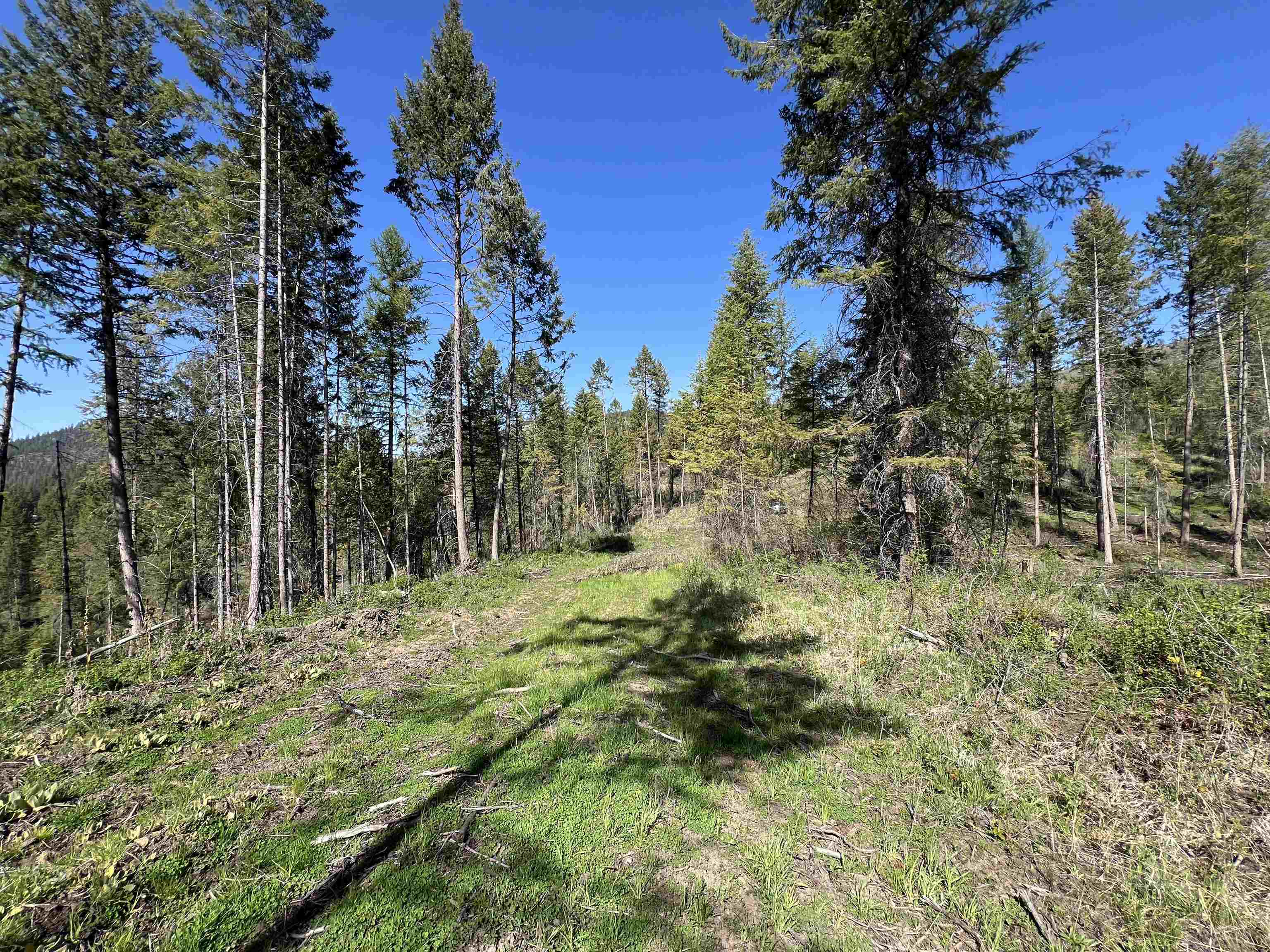 16-TBD Williams Lake Rd - Photo 15