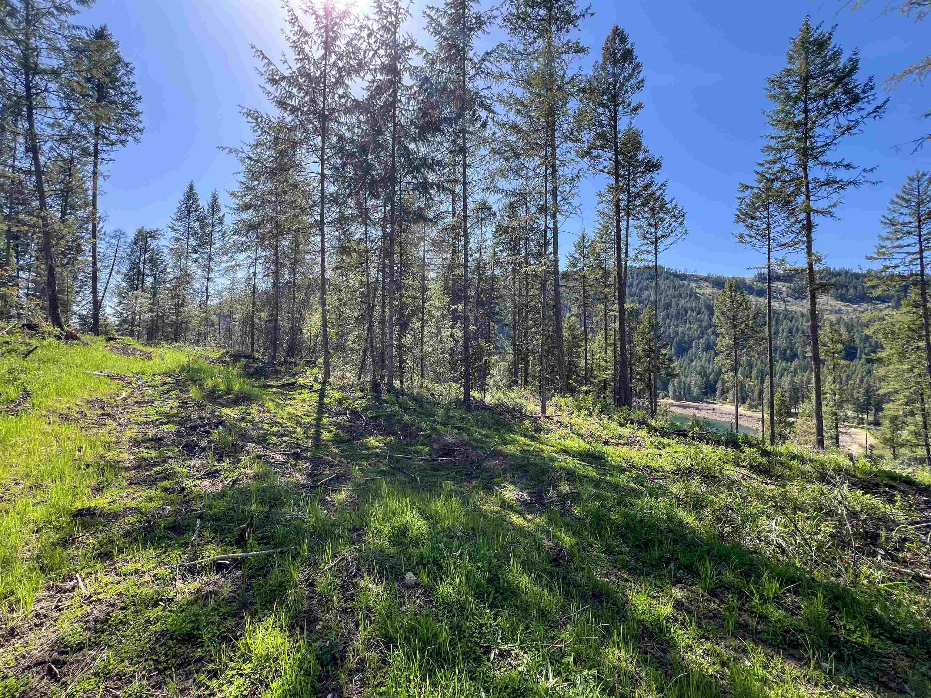 16-TBD Williams Lake Rd - Photo 16