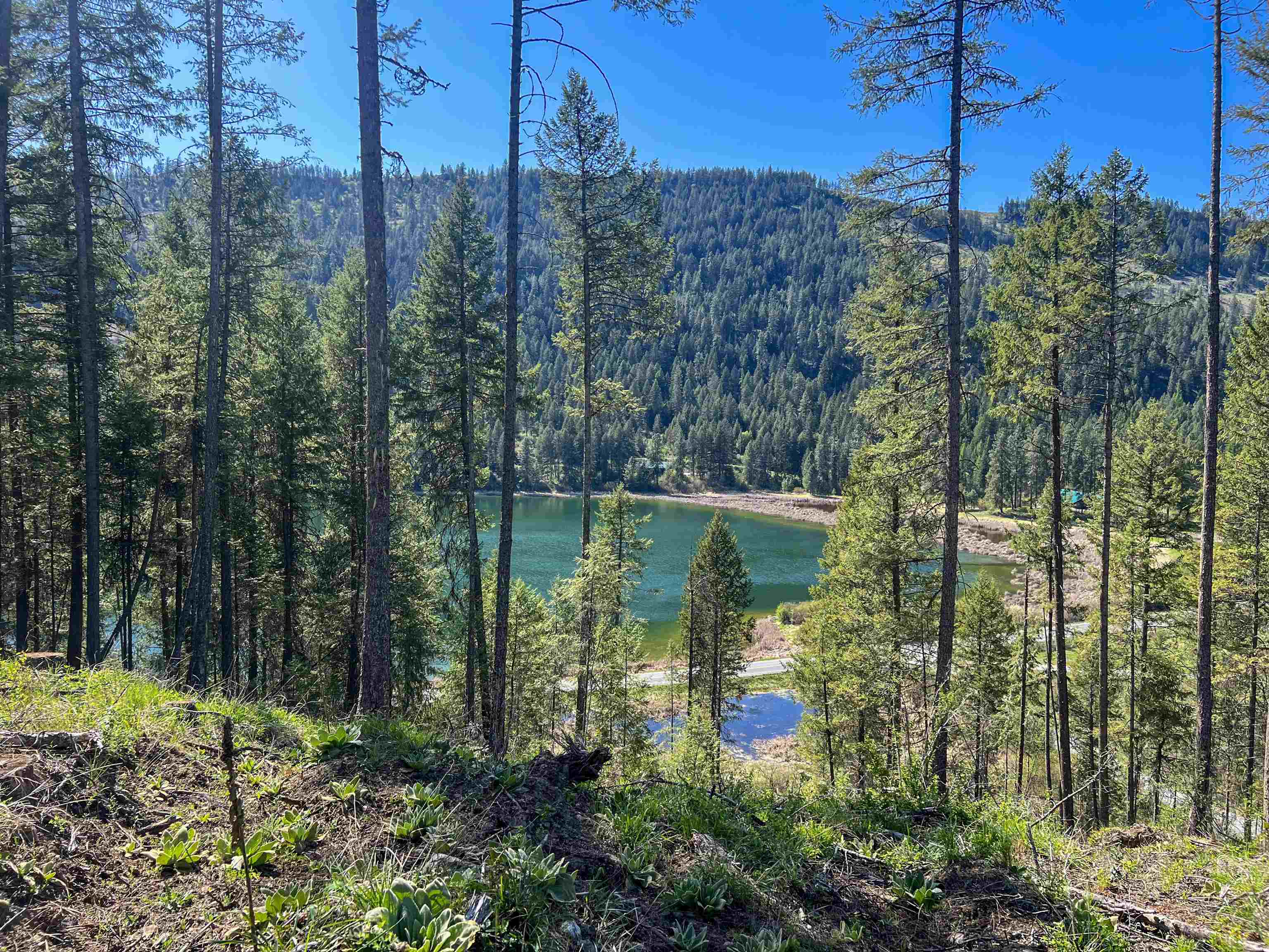 16-TBD Williams Lake Rd - Photo 17