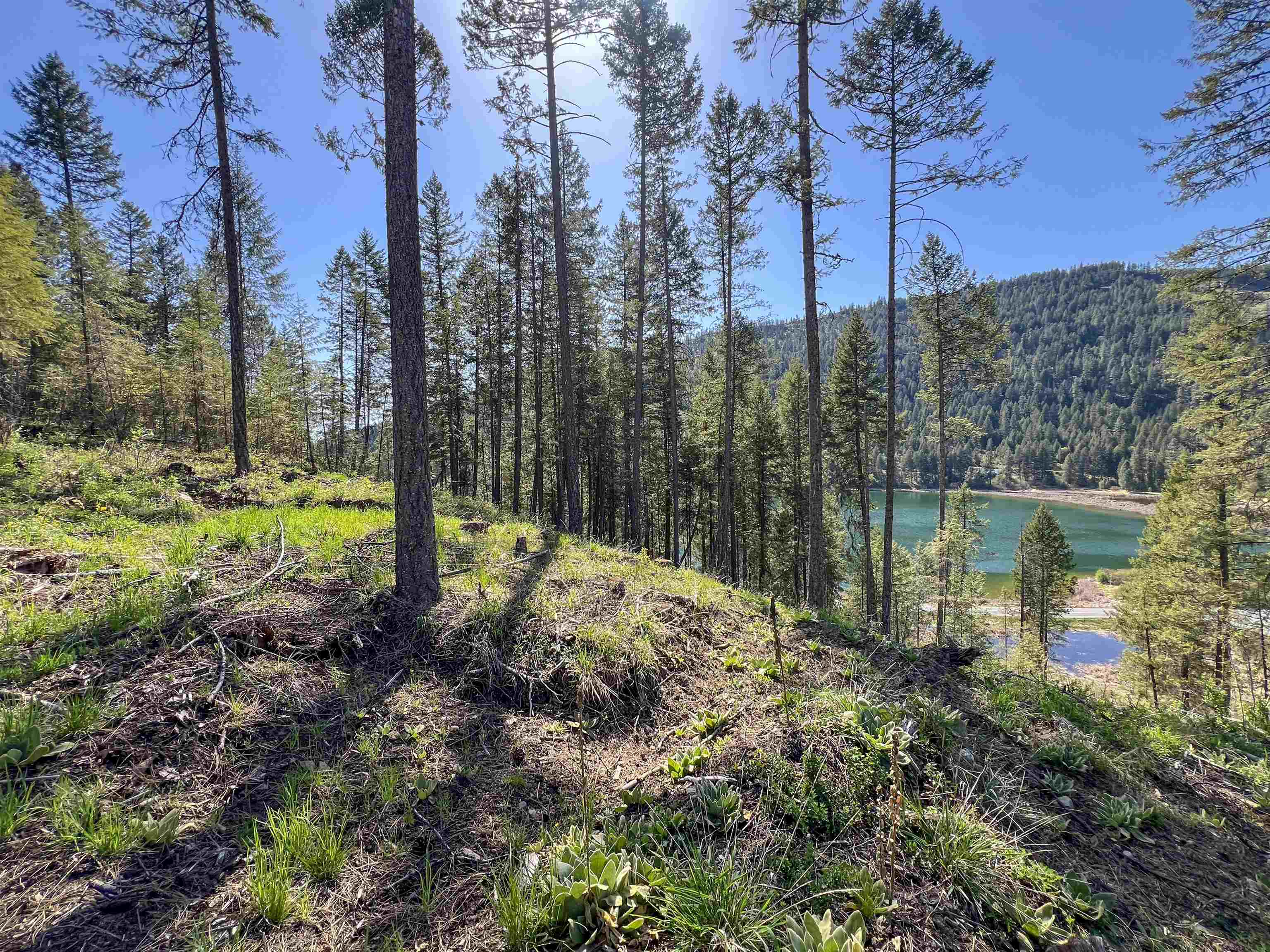 16-TBD Williams Lake Rd - Photo 18