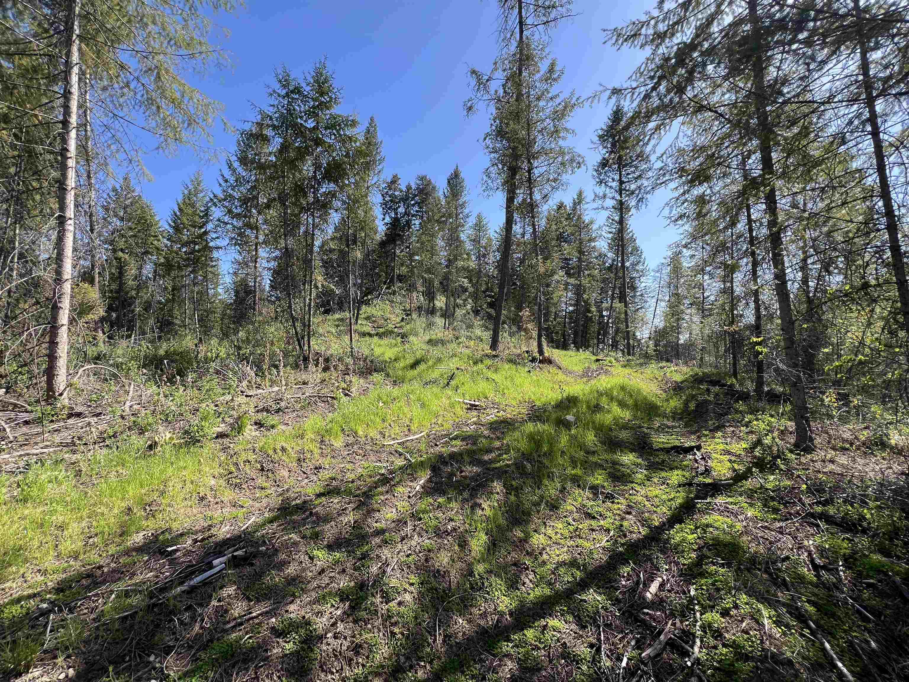 16-TBD Williams Lake Rd - Photo 19