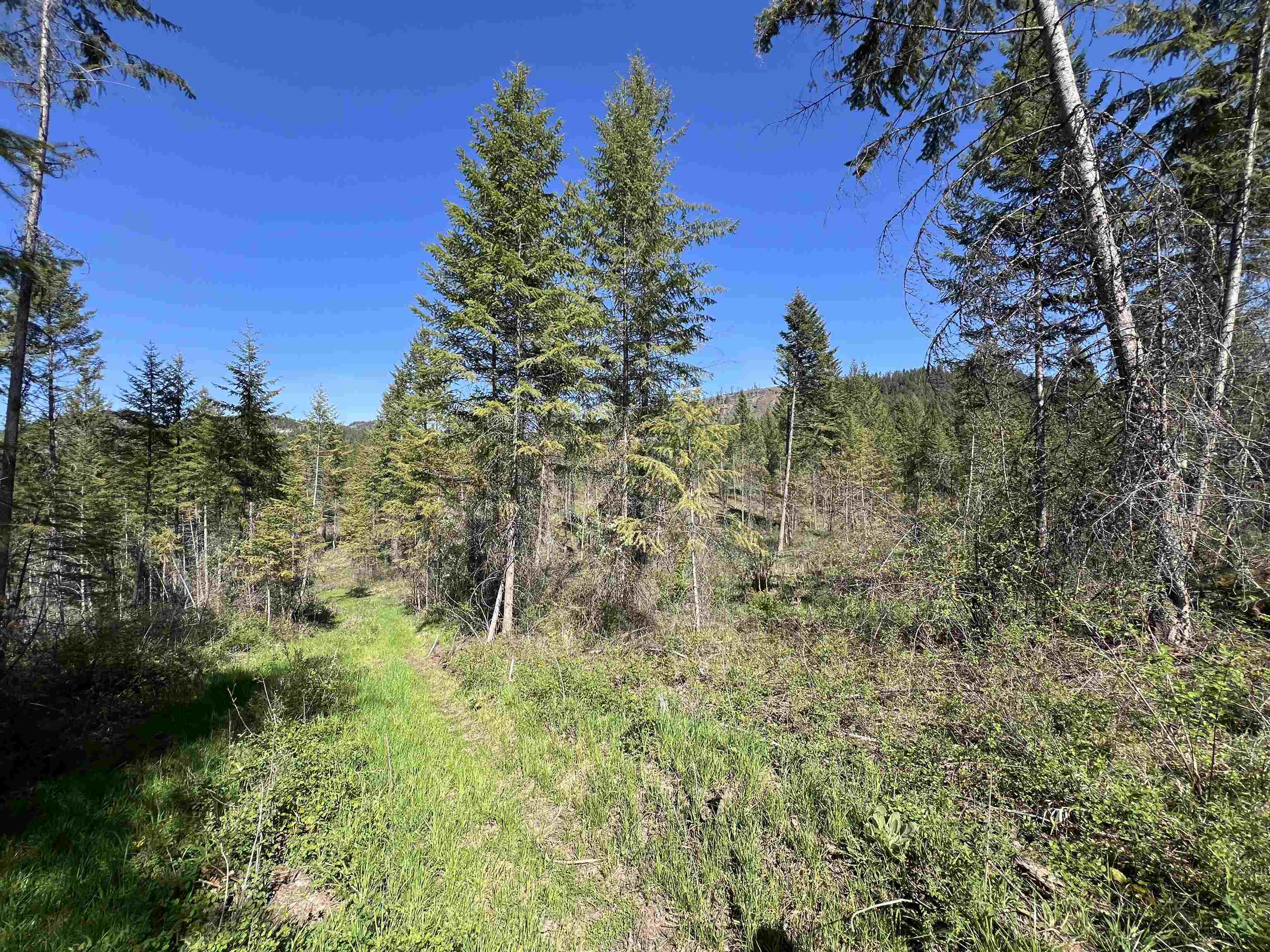16-TBD Williams Lake Rd - Photo 20