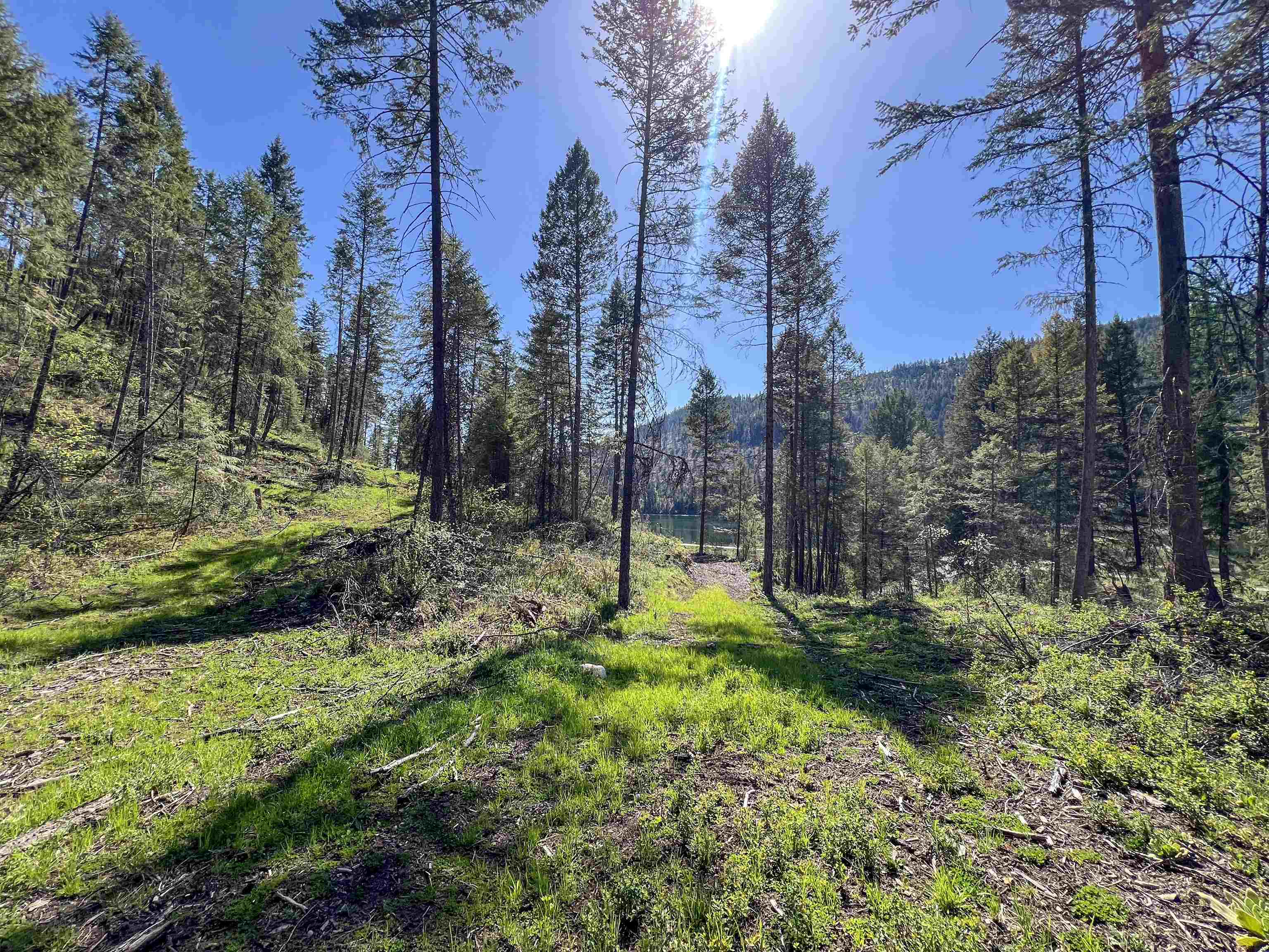 16-TBD Williams Lake Rd - Photo 3