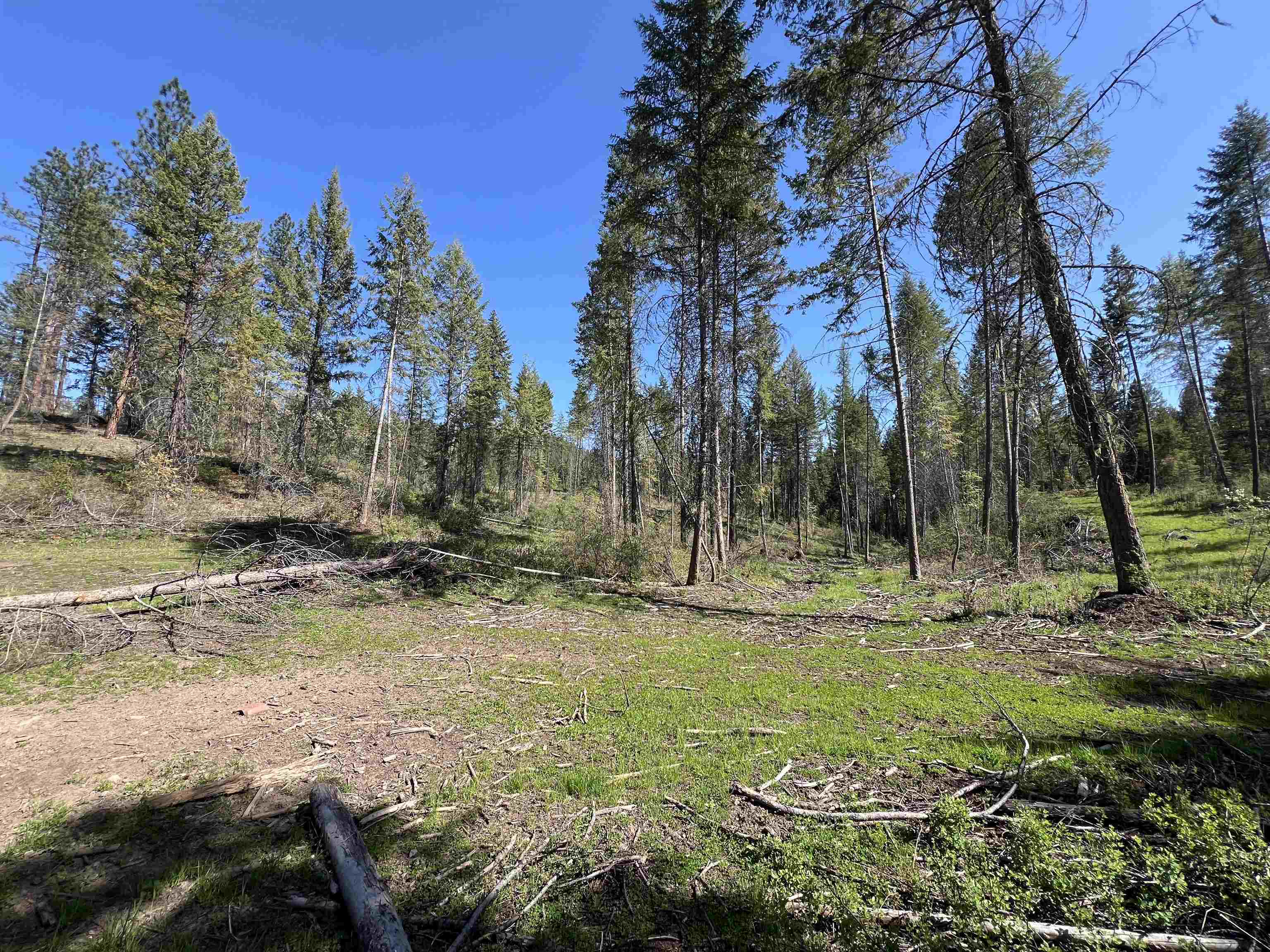 16-TBD Williams Lake Rd - Photo 21