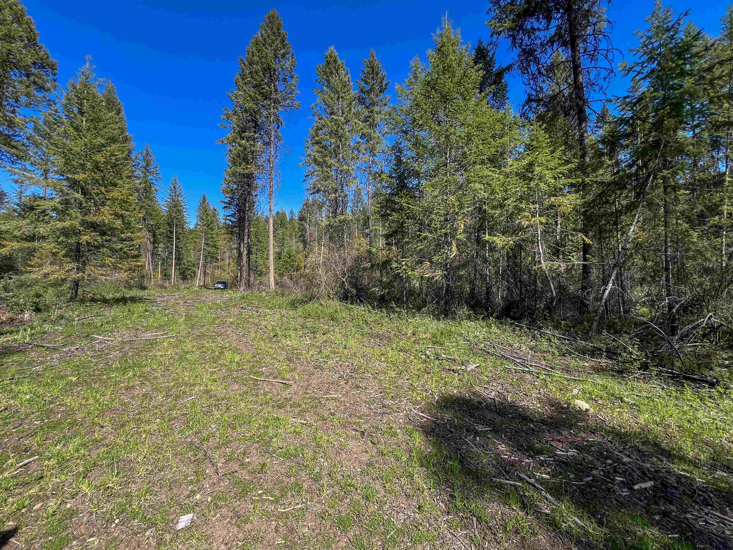16-TBD Williams Lake Rd - Photo 4