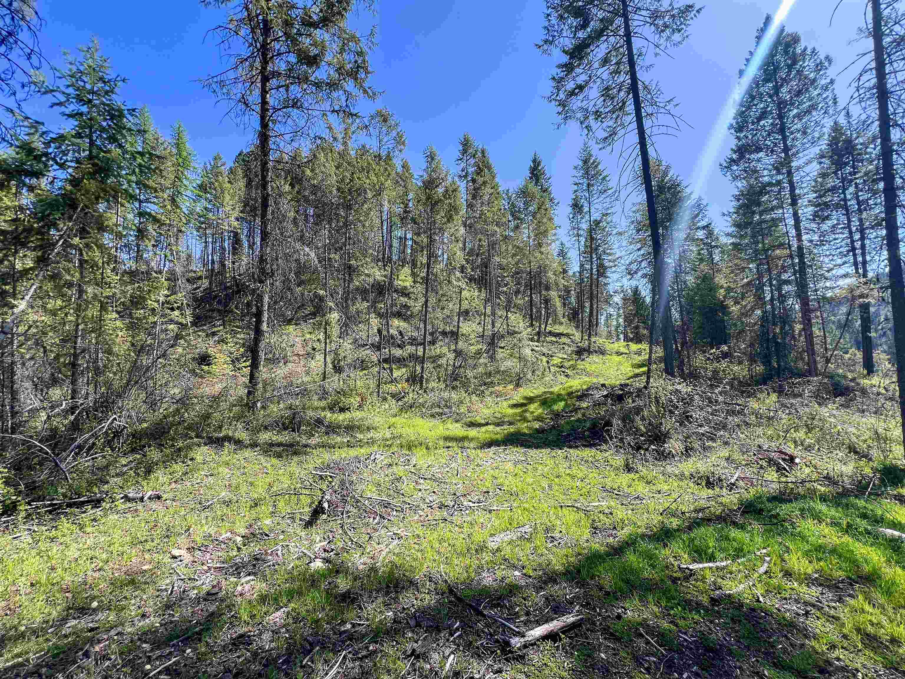 16-TBD Williams Lake Rd - Photo 5