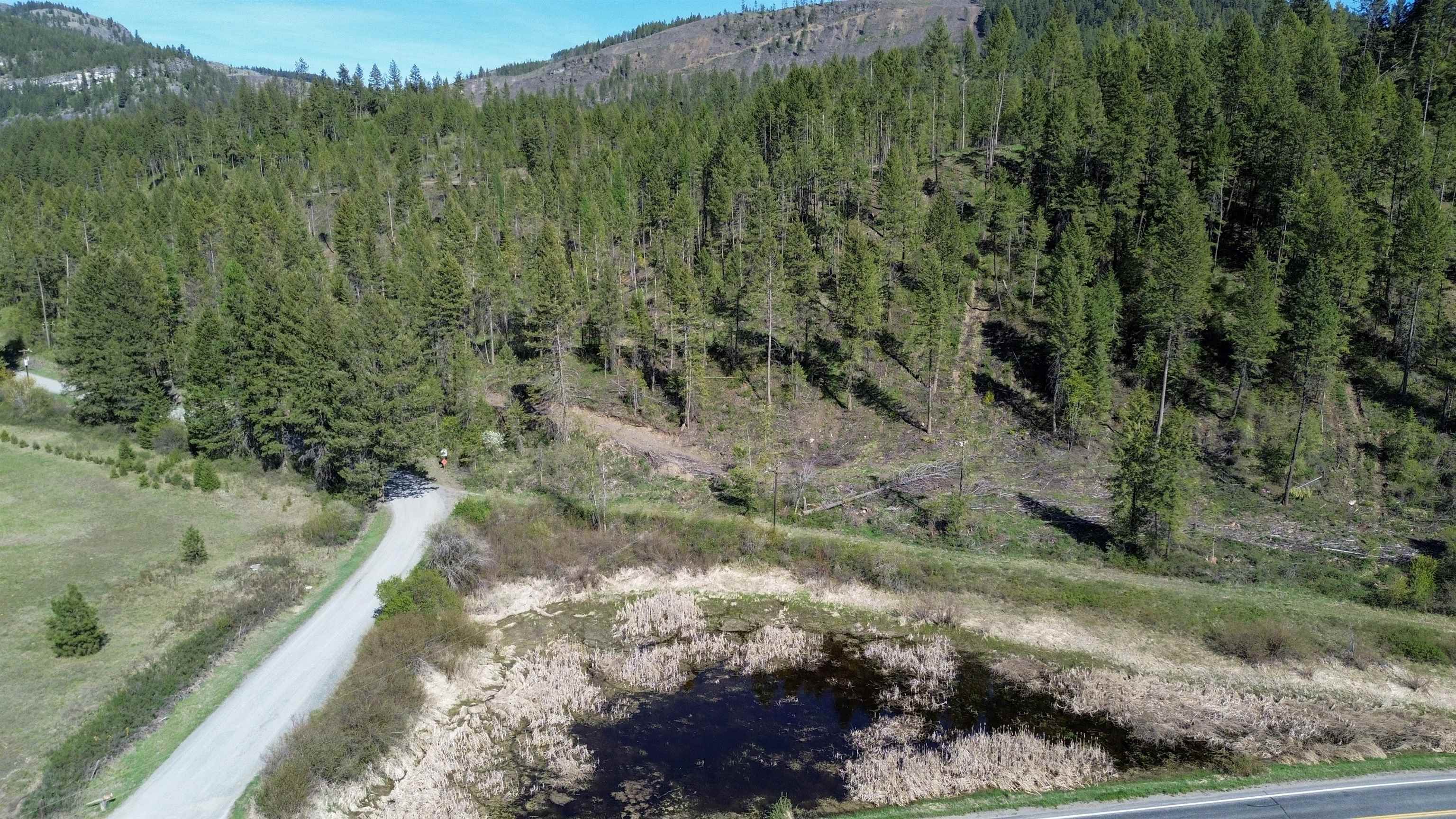 16-TBD Williams Lake Rd - Photo 7
